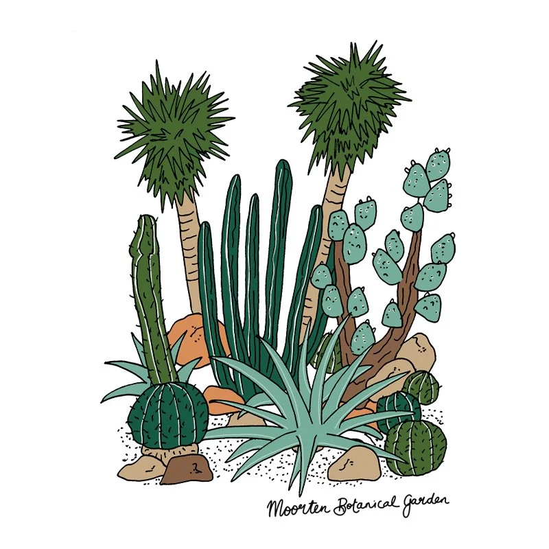 MooretonBotanicGarden_MeganMcKean.jpg