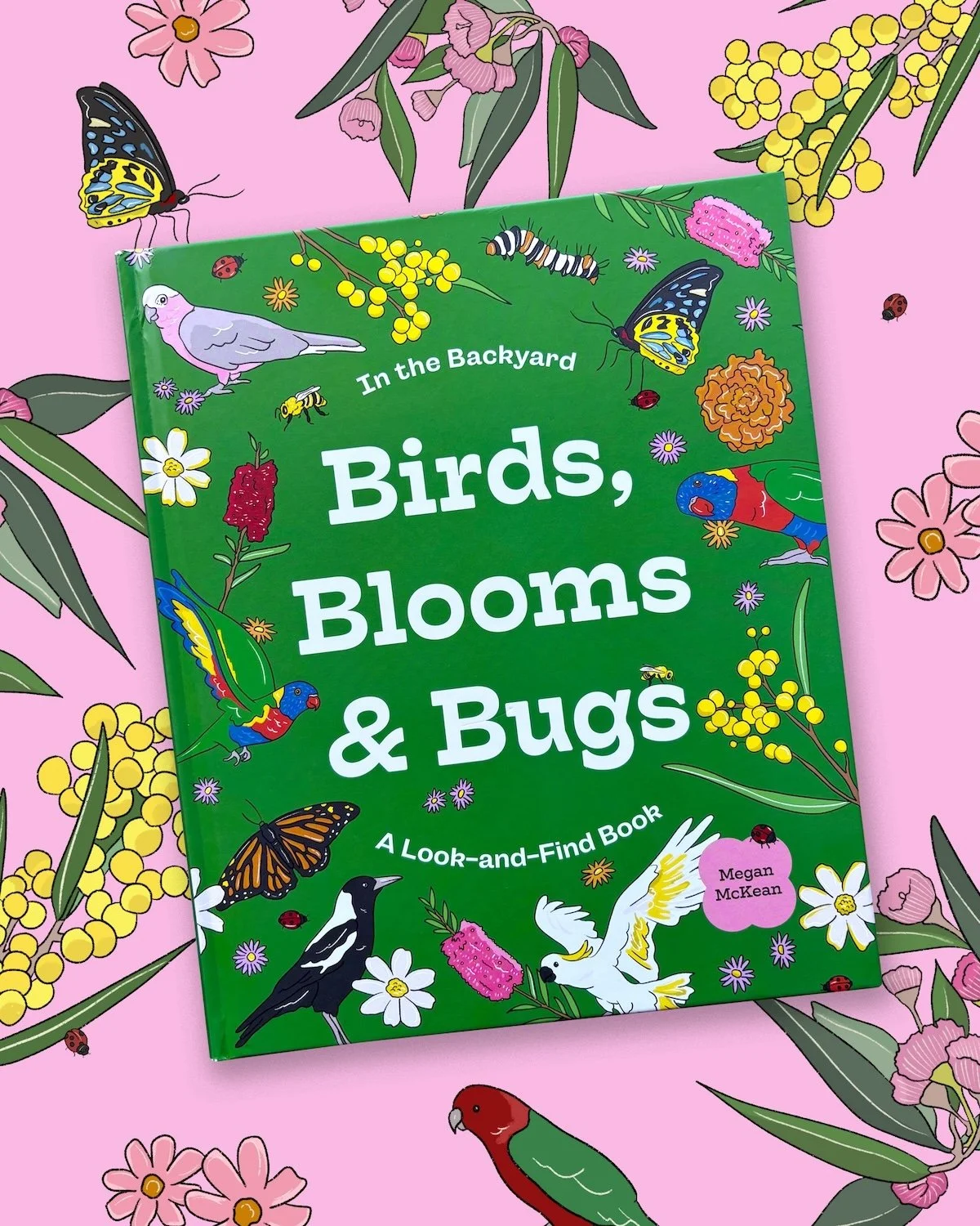Cover of Birds, Blooms and Bugs book by Megan McKean