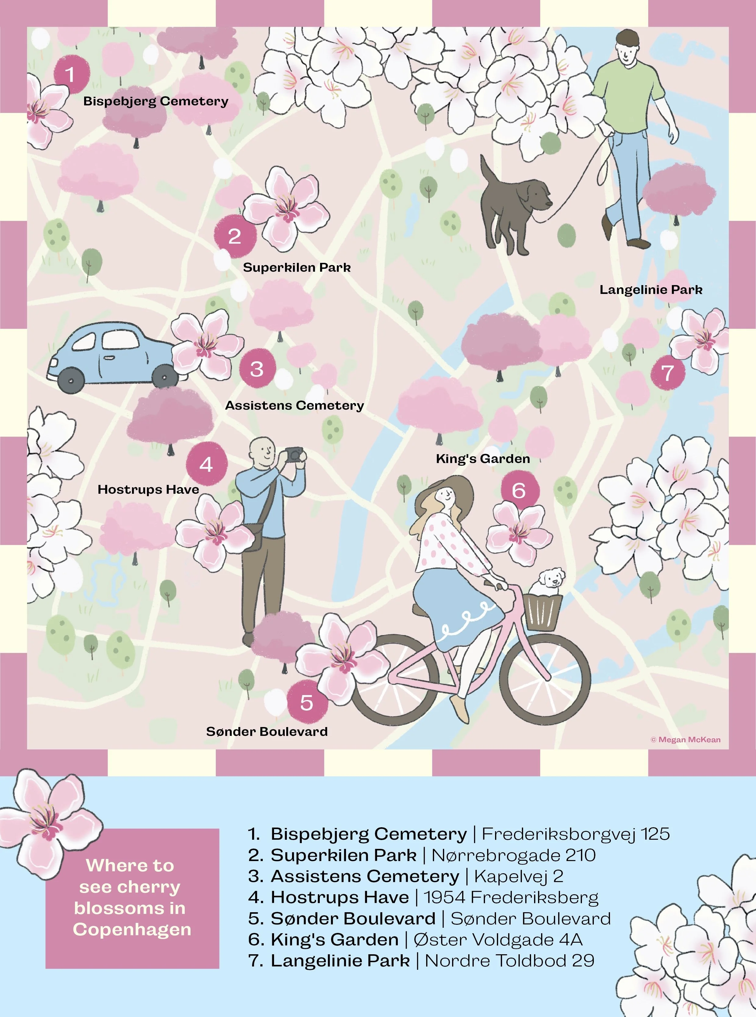 Illustrated map of where to see cherry blossoms in Copenhagen by Megan McKean