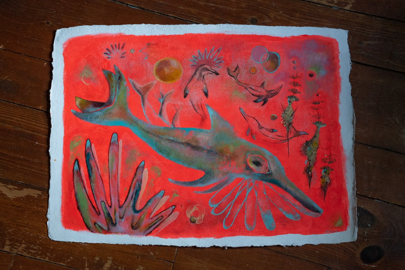Dolphin_WEB-10.jpg