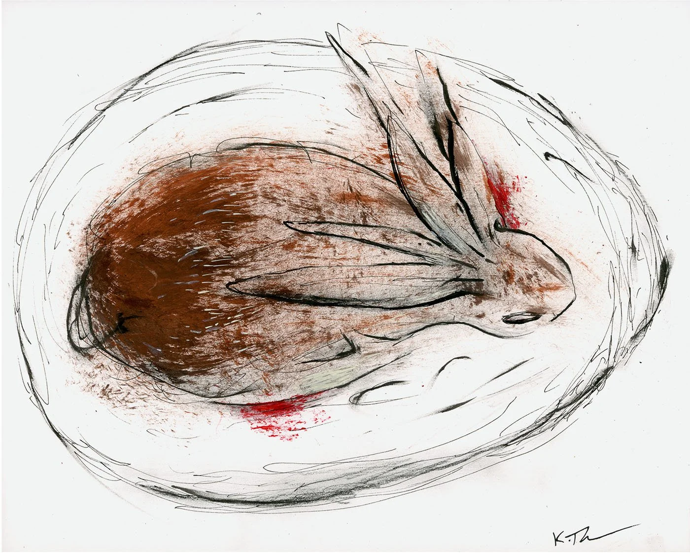 Are You a Wild Rabbit?
