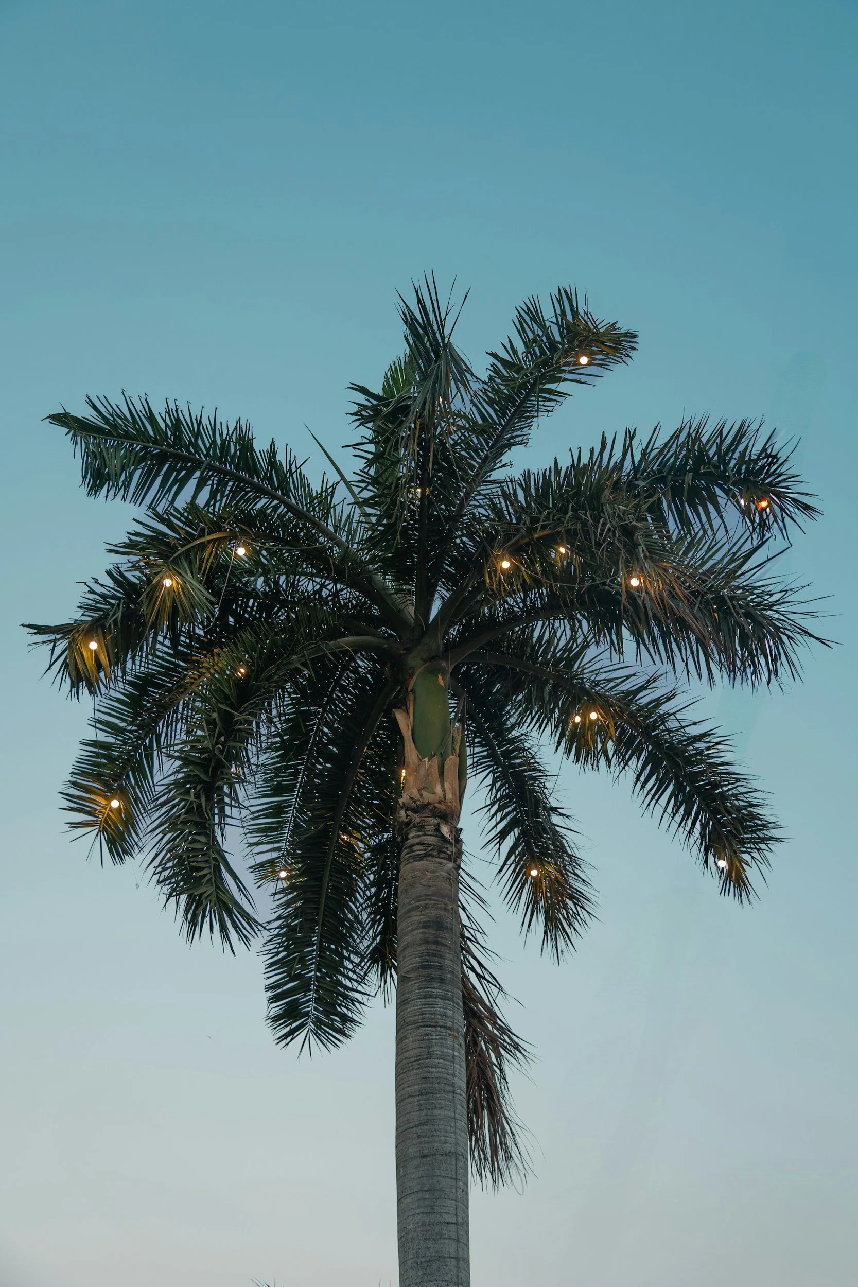 POLCD_Christmas Service