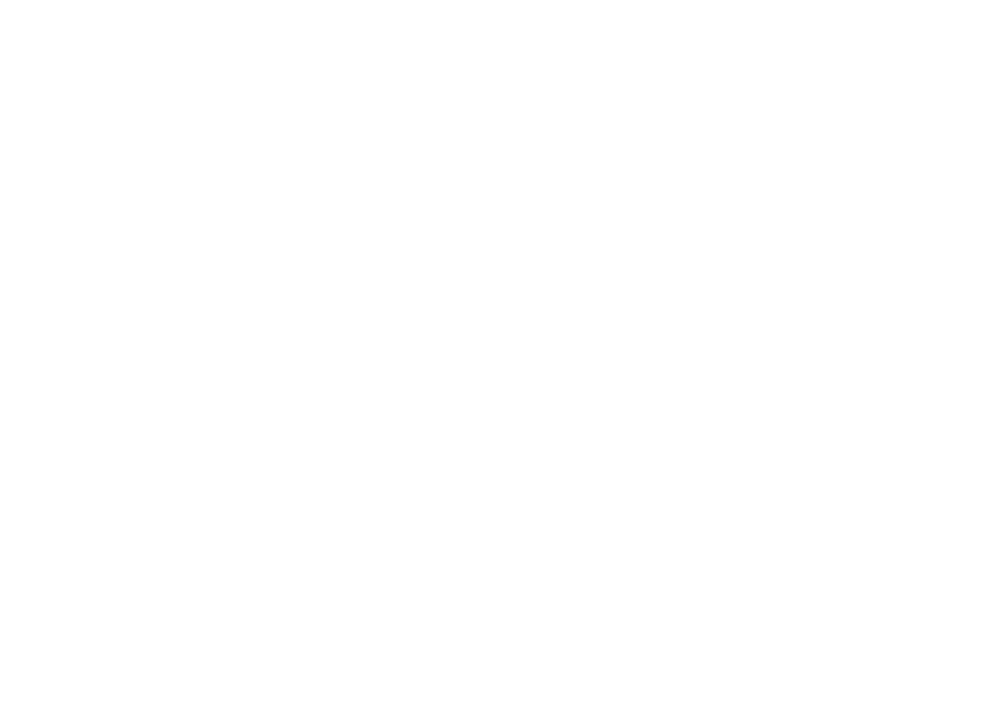 Black and white illustration of a flag with five stars at the top and five stars at the bottom. A circular emblem in the center features a star inside it. A flame symbol appears on the left side of the flag.