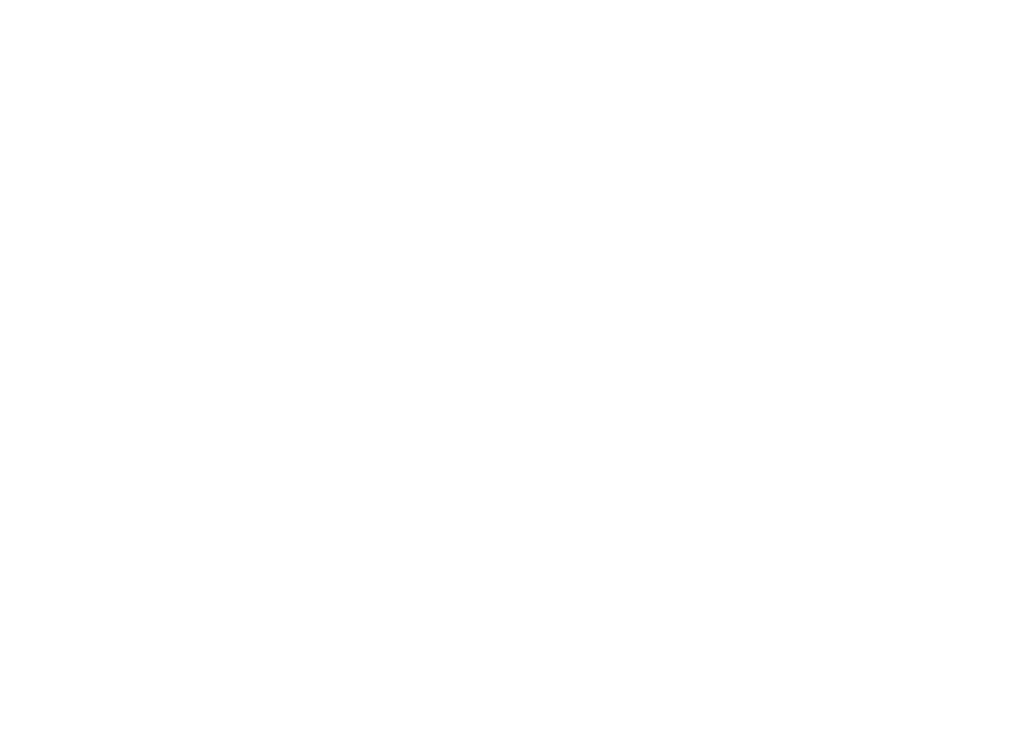 Black and white geometric design with diagonal stripes and borders.