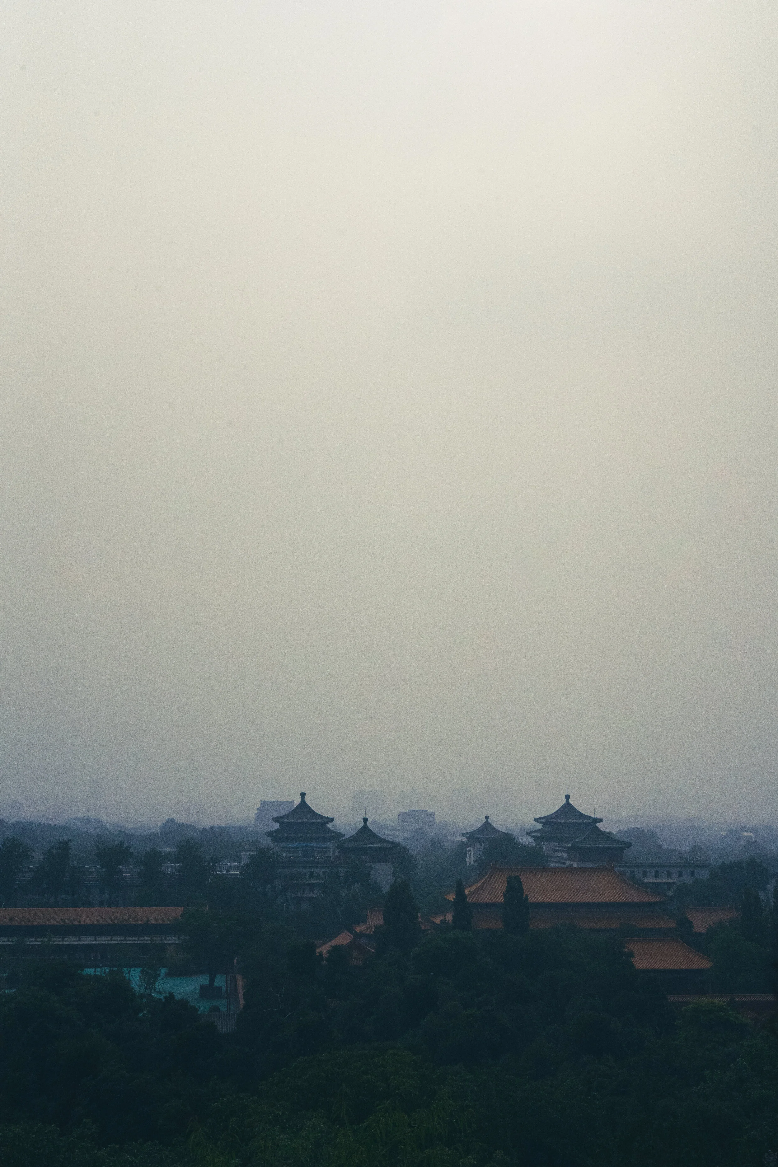 DSC04126.jpg