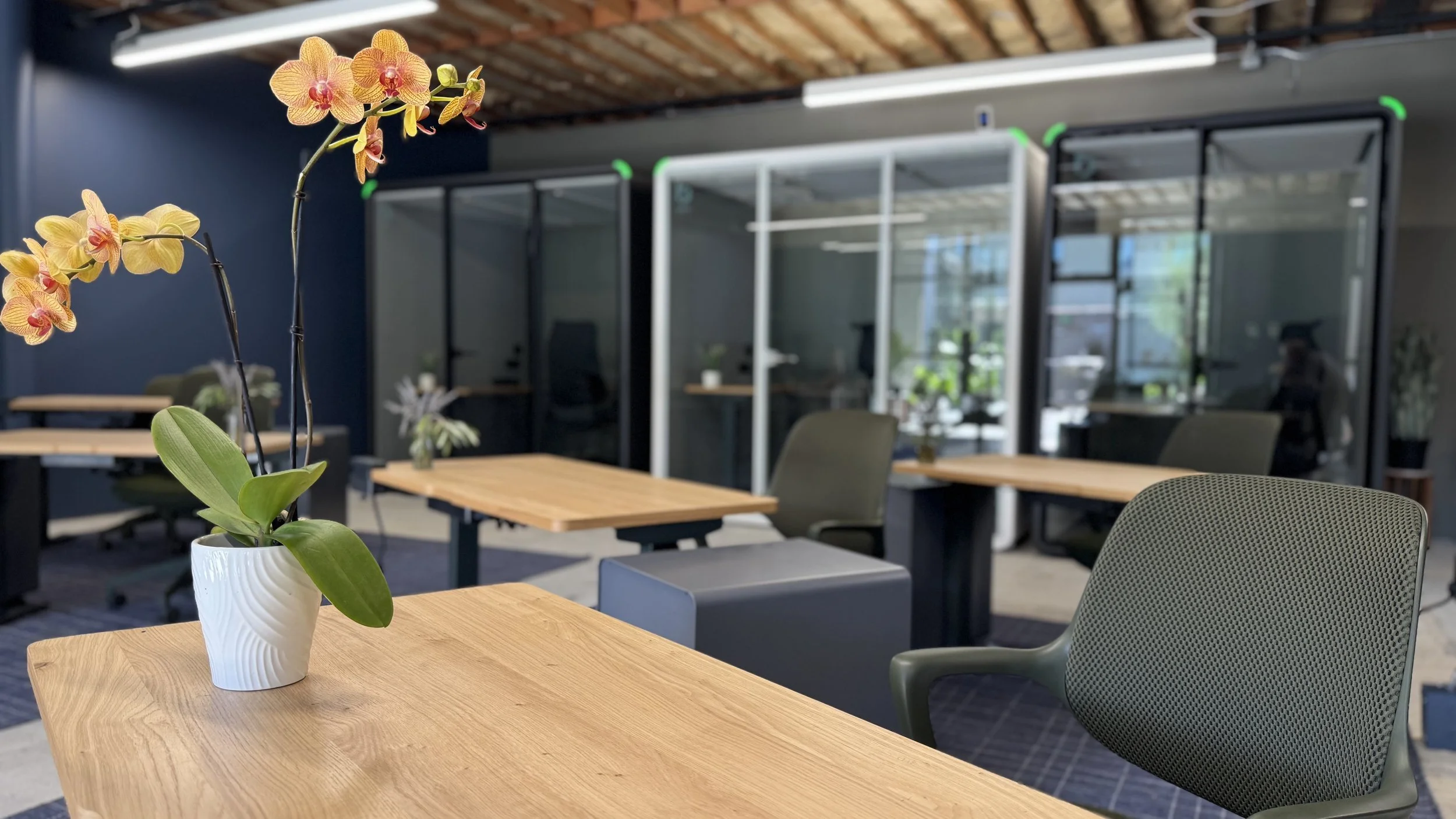 KingdomHaus Offices copy.jpg