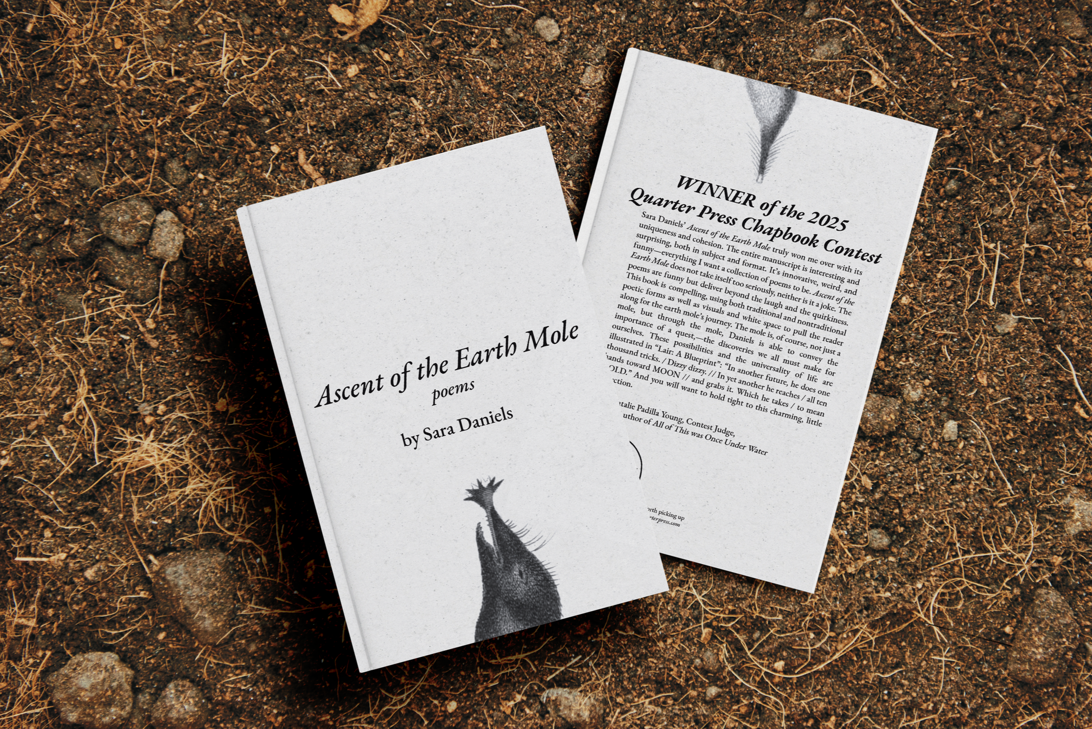 Cover+Reveal+Mock-Up+AotEM.png