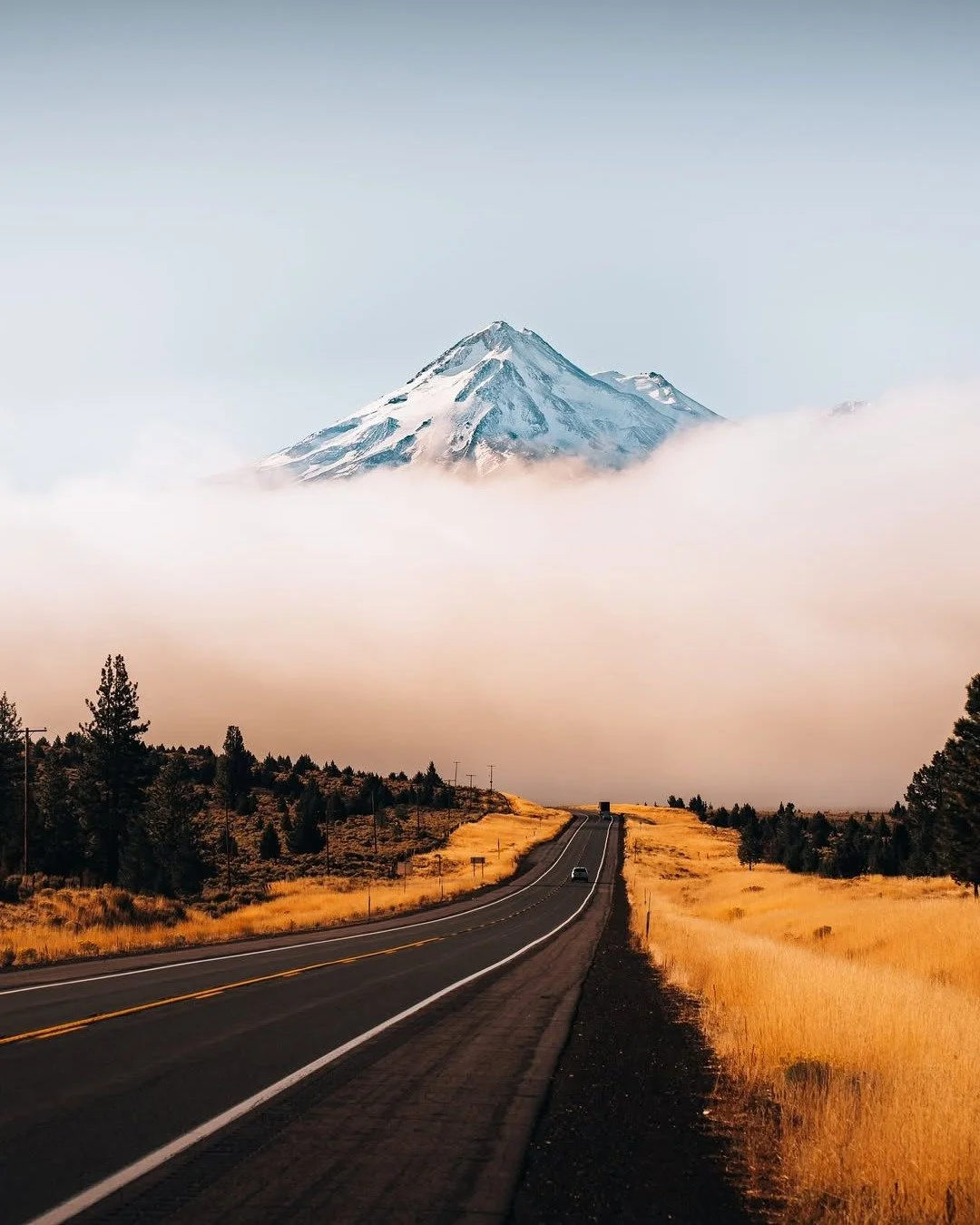 Golden roads leading to the mighty Mt. Shasta.

Captured beautifully by @freds_lens 

#MountShasta #NorthernCalifornia #NaturePhotography #MountainViews #WanderCalifornia