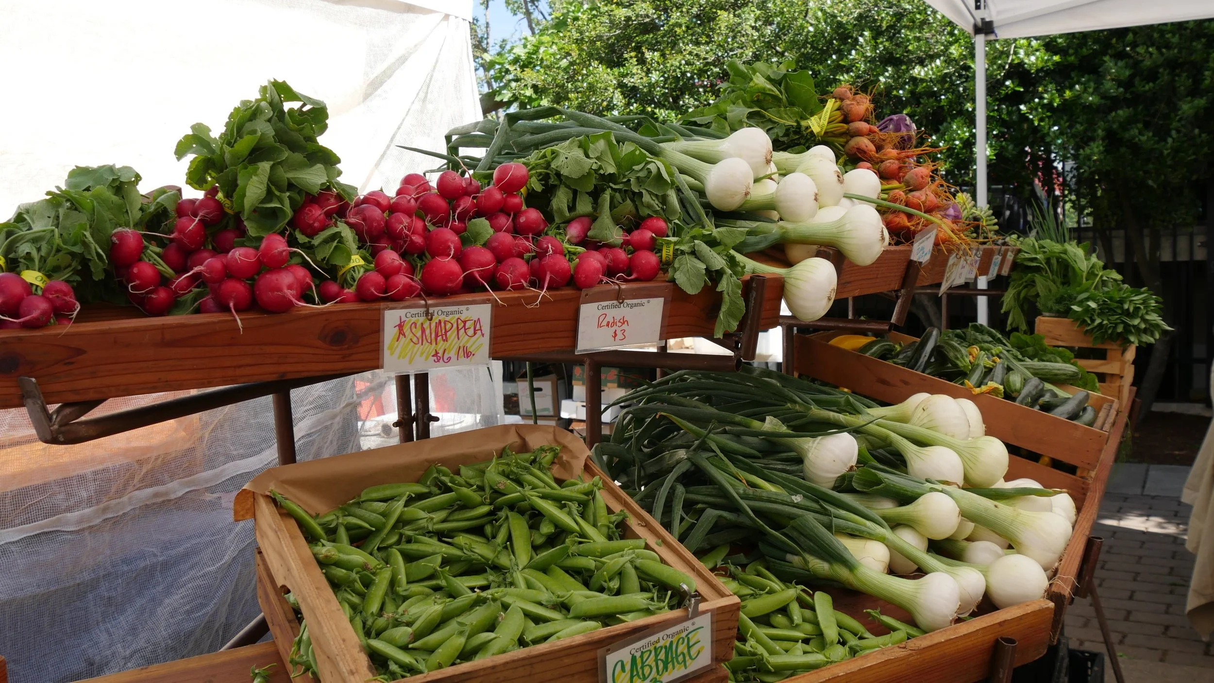 Farmer's Market — Visit Mount Shasta