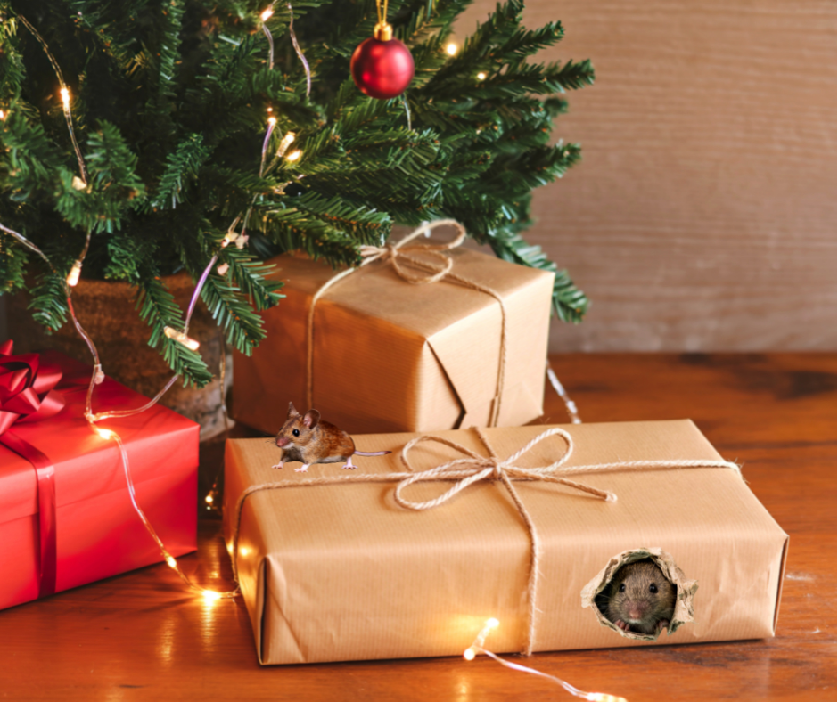 ‘Twas the Night Before Christmas and Mice Were Stirring: How to Keep Rodents Out This Winter