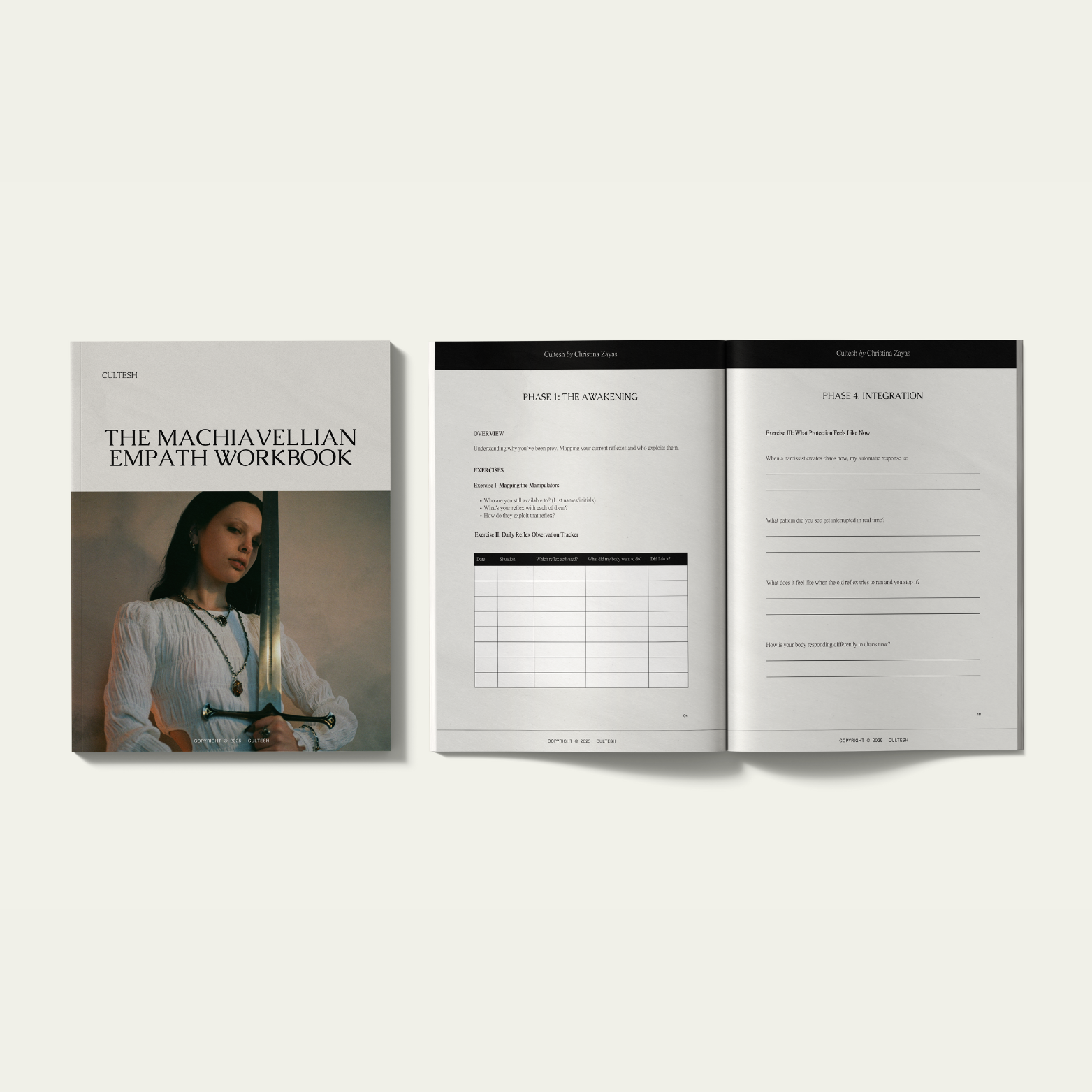 The Machiavellian Empath Workbook