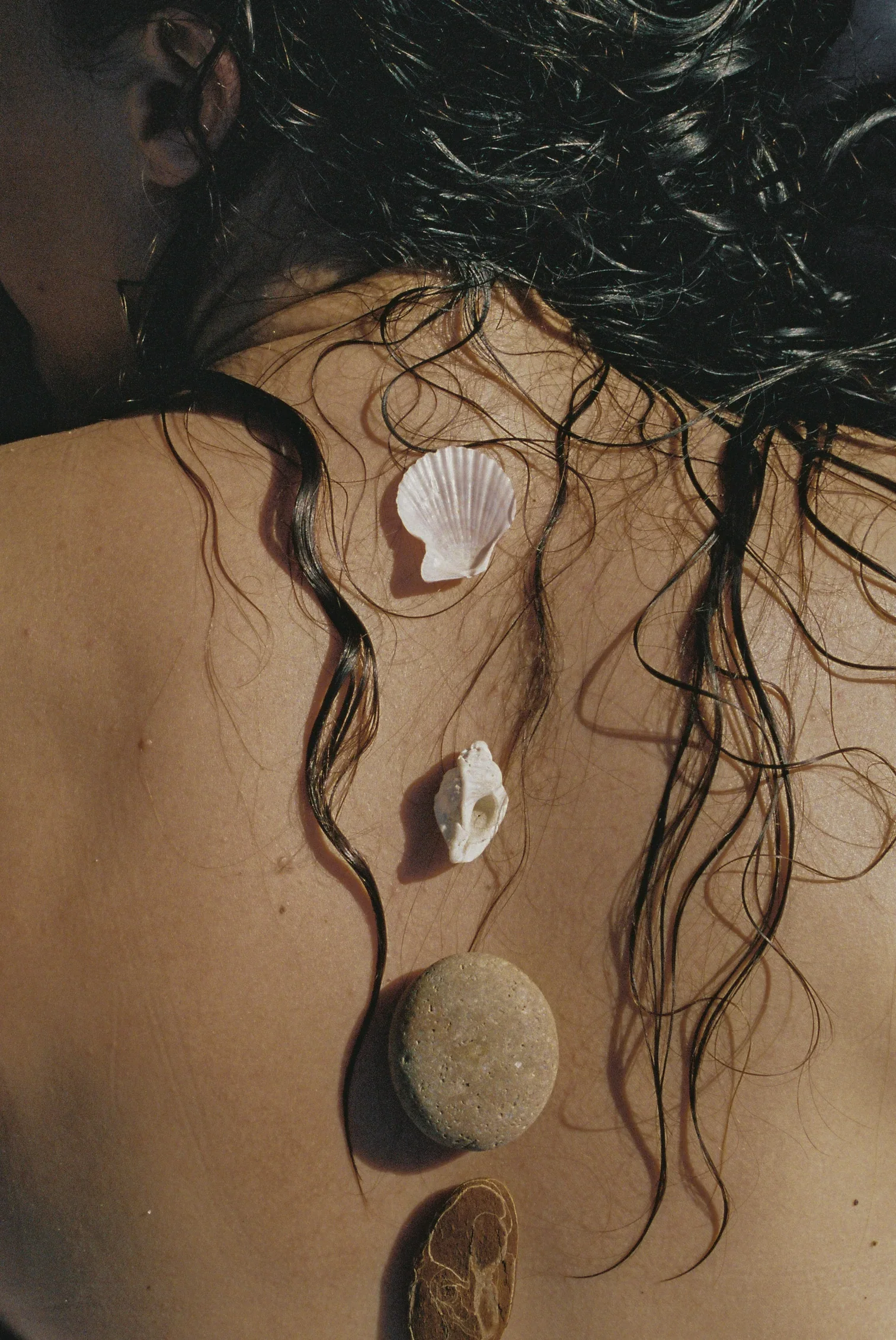 A person's back with wet hair, and four seashells and a small round stone placed along the spine.
