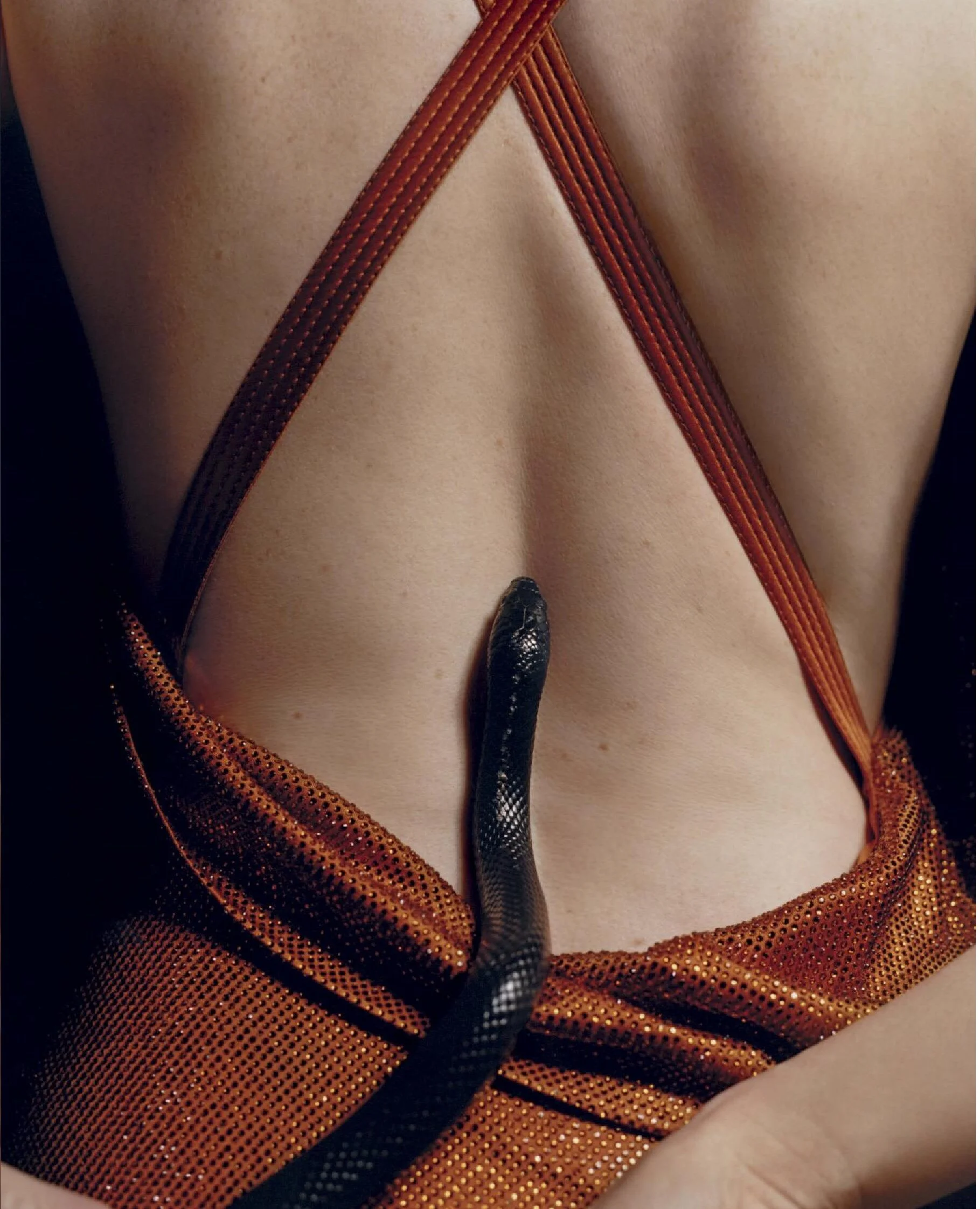 A snake slithering on a person's chest, which is partially covered by a reddish-brown, shimmering, strappy garment.