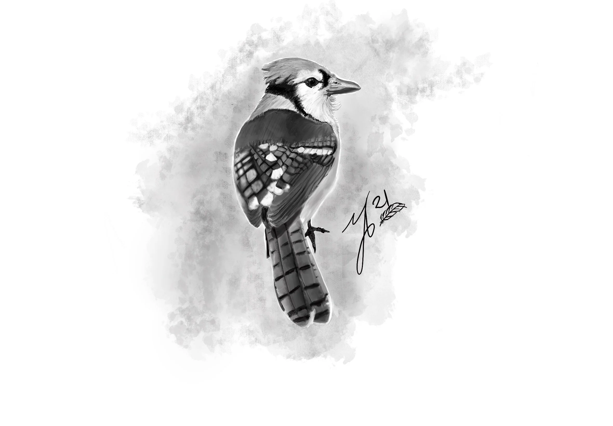 Black and white artistic illustration of a bird with distinctive markings, signature with a feather icon.