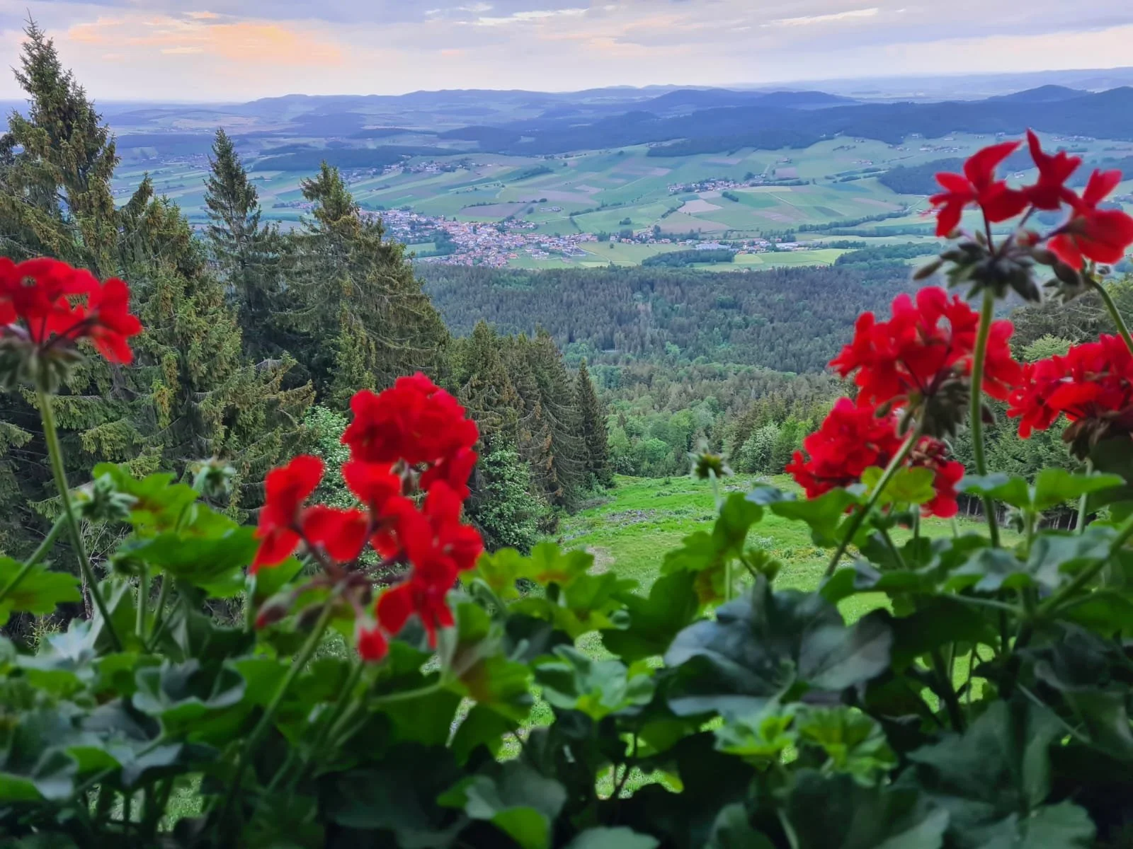 Hohen Bogen Panoramablick .JPG