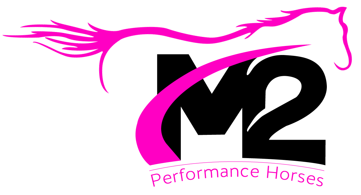 M2 Performance Horses