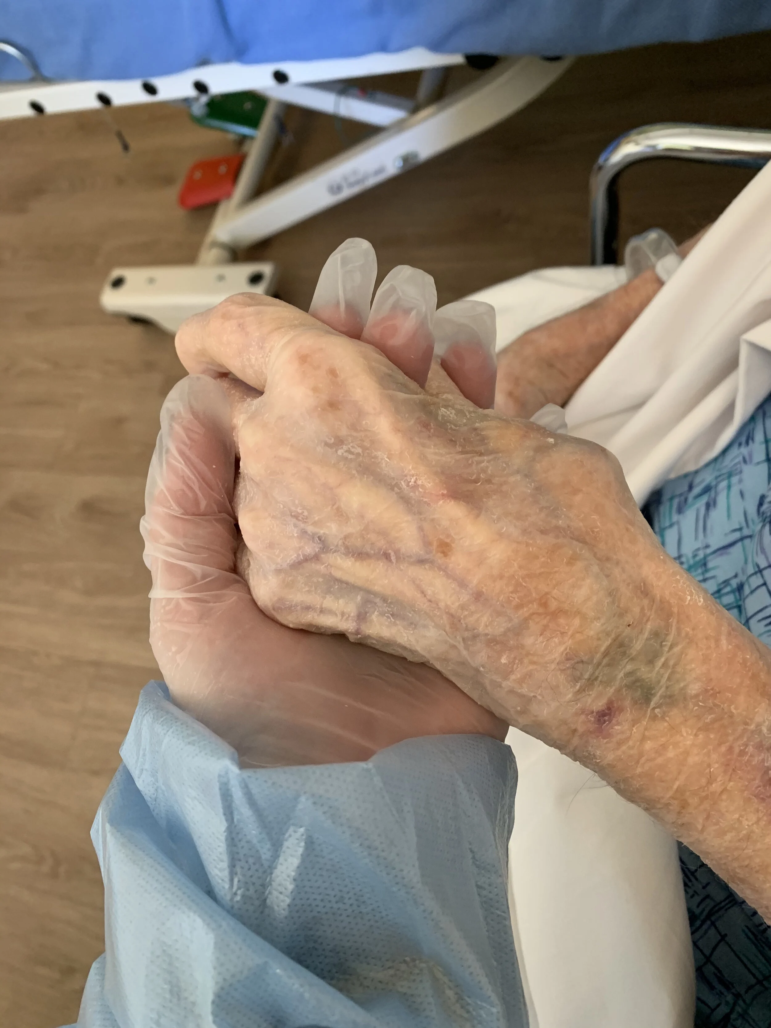 Click Picture for Link to View Certificates Earned From The Institute for the Study of Birth, Breath, & Death