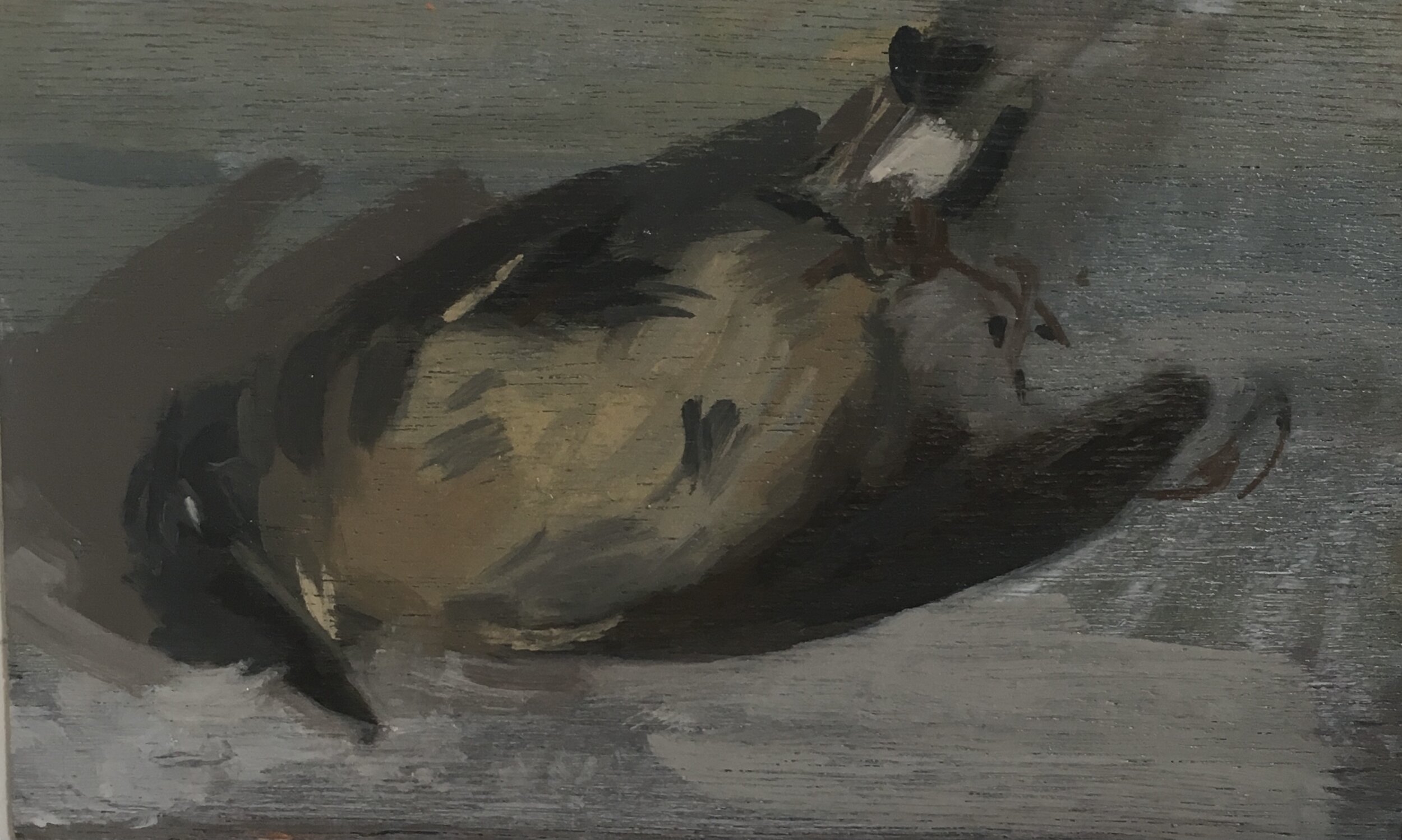 ‘Bird’,
Oil on Board,
18cm x 15cm