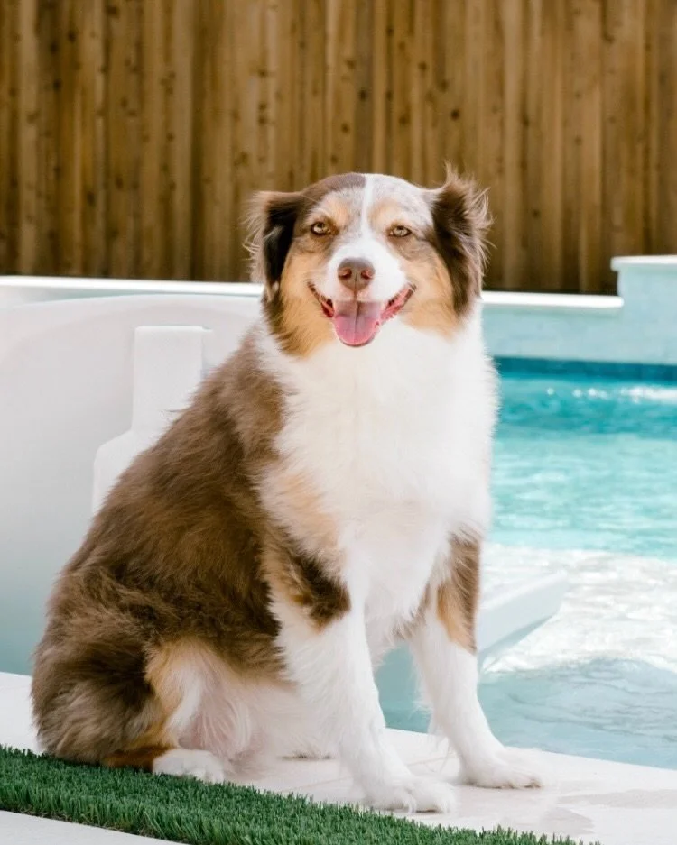 The only vibes we&rsquo;ll be accepting now that the last freezing morning is behind us 😎

We know it may be hard to believe, but summer will be here before we know it. Will YOU be ready? 

#whoyoubuildwithmatters #custompools #poolbuilder