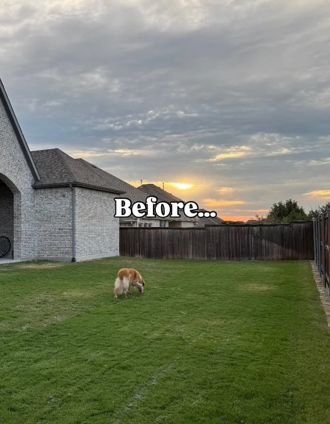 Pool space > poop space 😂

When you transform your outdoor living space with a custom Canyon Oak pool, the whole family wins!

It&rsquo;s not too late to catch a few solid months of swim time this year! Give us a shout to see what&rsquo;s possibl