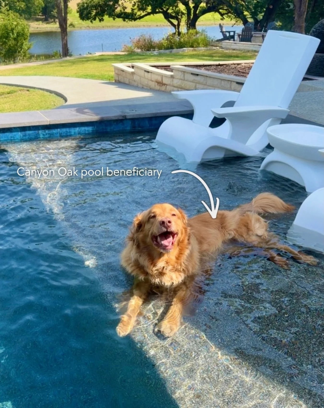 Who are your pool beneficiaries?! Drop their names or photos in the comments below 👇🤰🐶🧑&zwj;🩰🧍&zwj;♂️

Ready to be the Canyon Oak pool benefactor in your family? Give our team a shout this week to schedule an obligation-free consultation! 

#wh