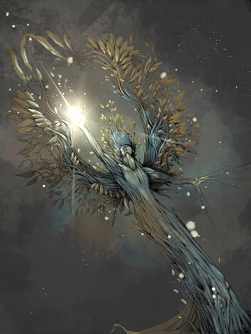 Emergence