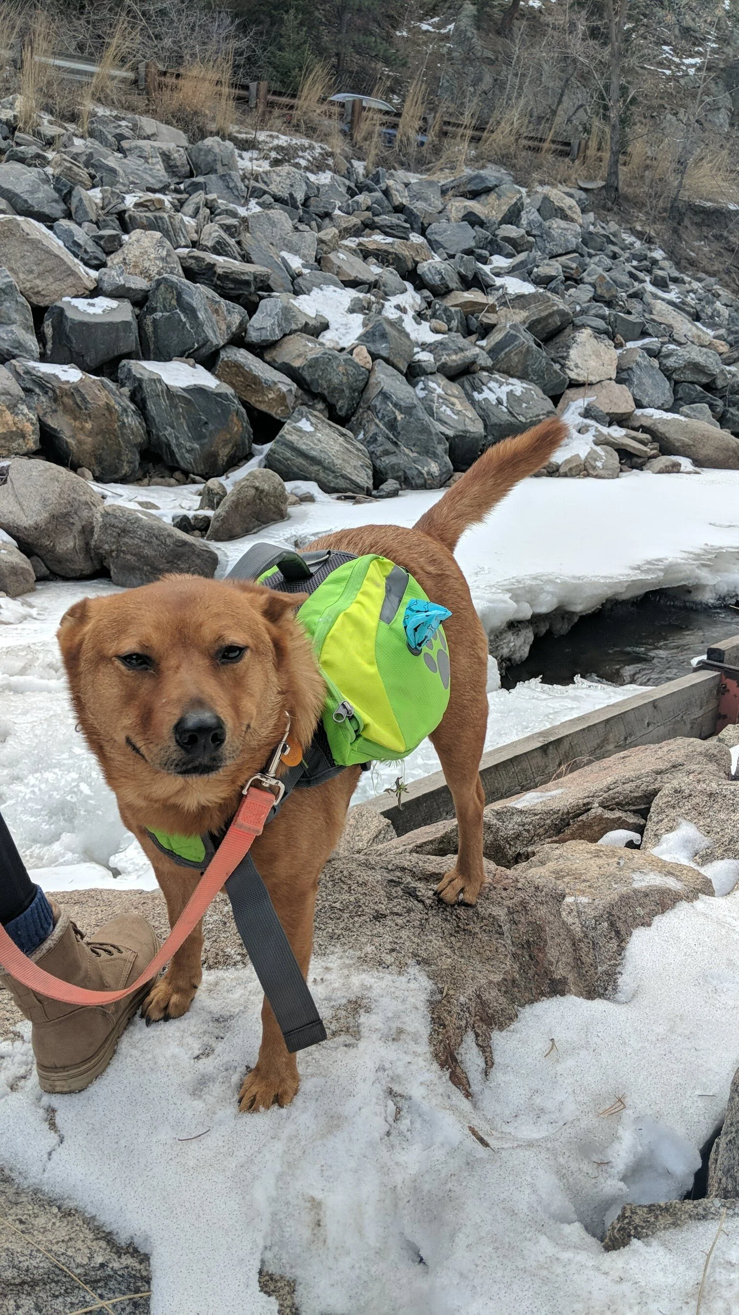 Ted Galloway Hiking in CO