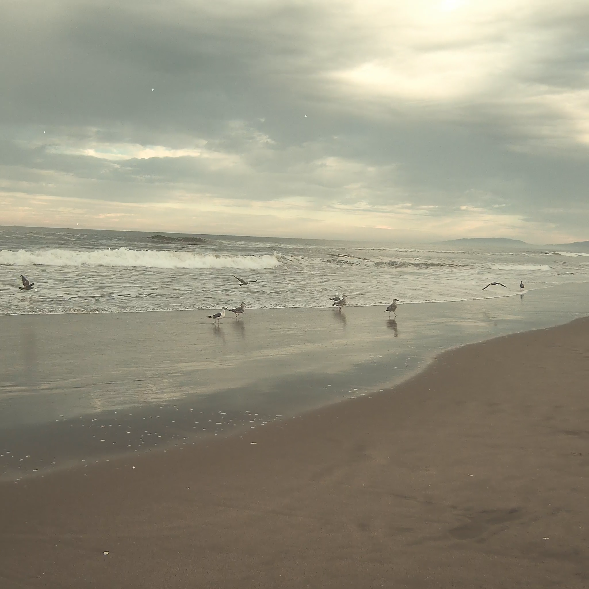 Homepage-ocean-mobile.png