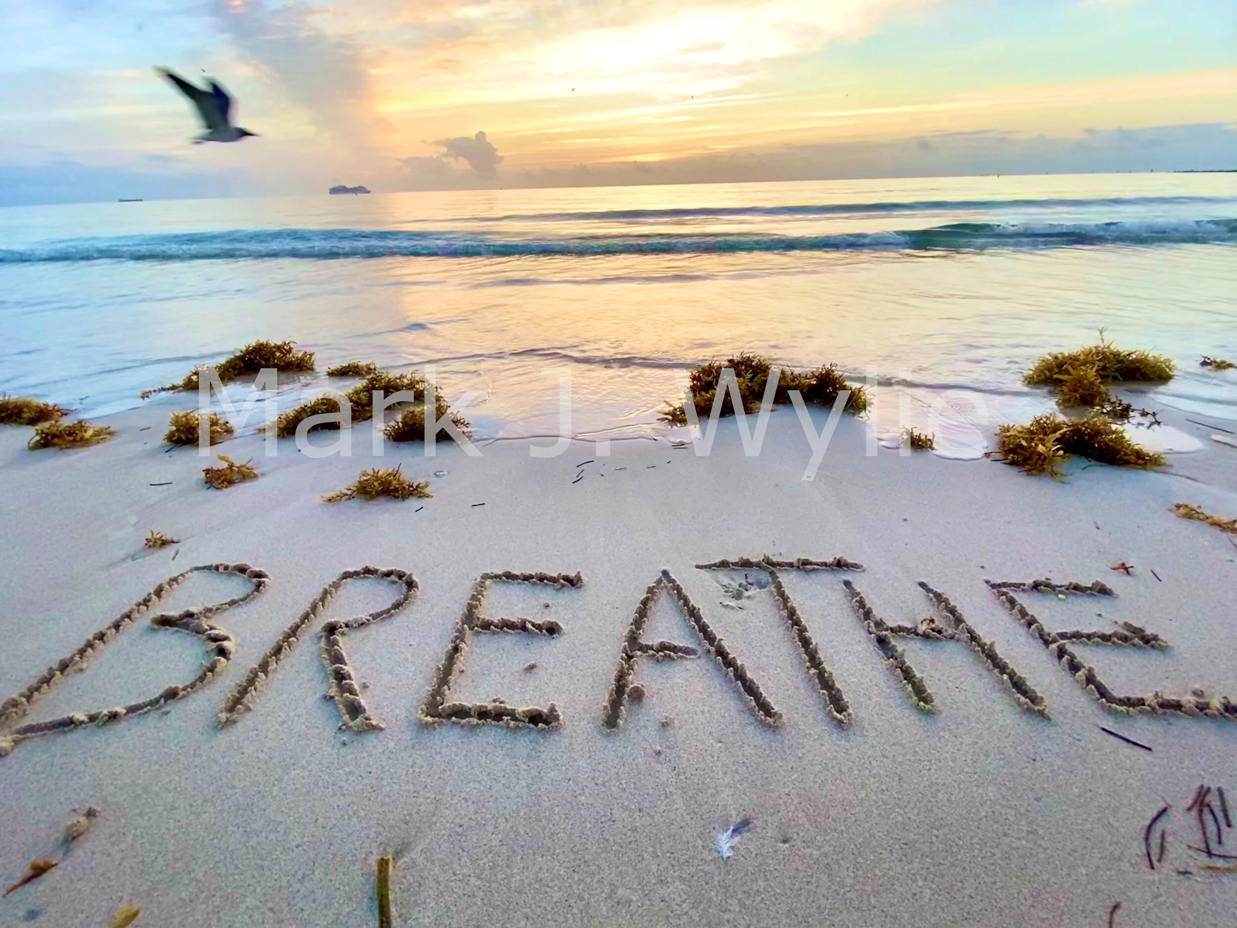 Breathe WMM.jpg