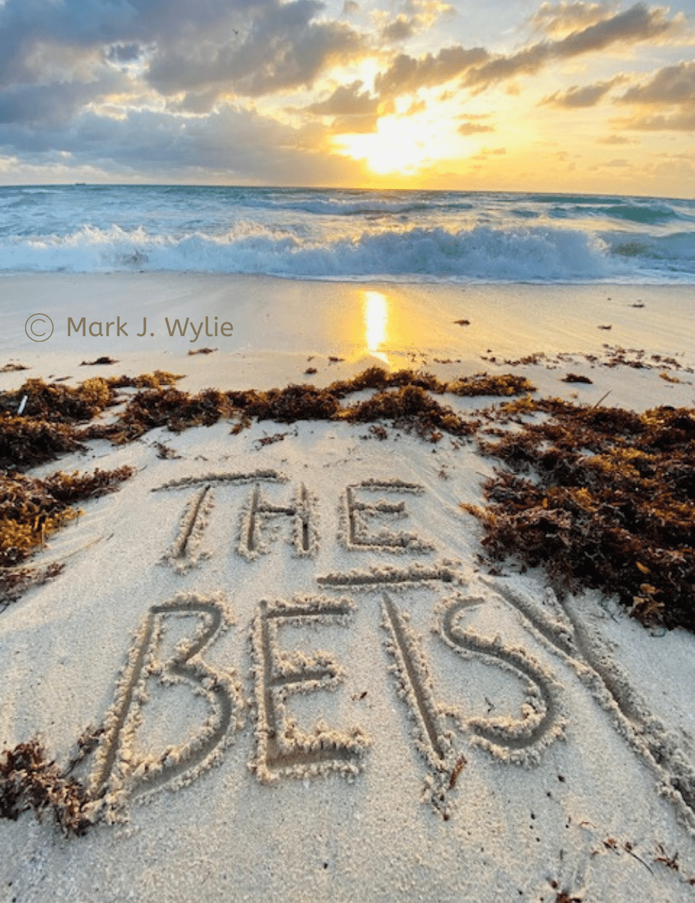 Copyright Mark J. Wylie