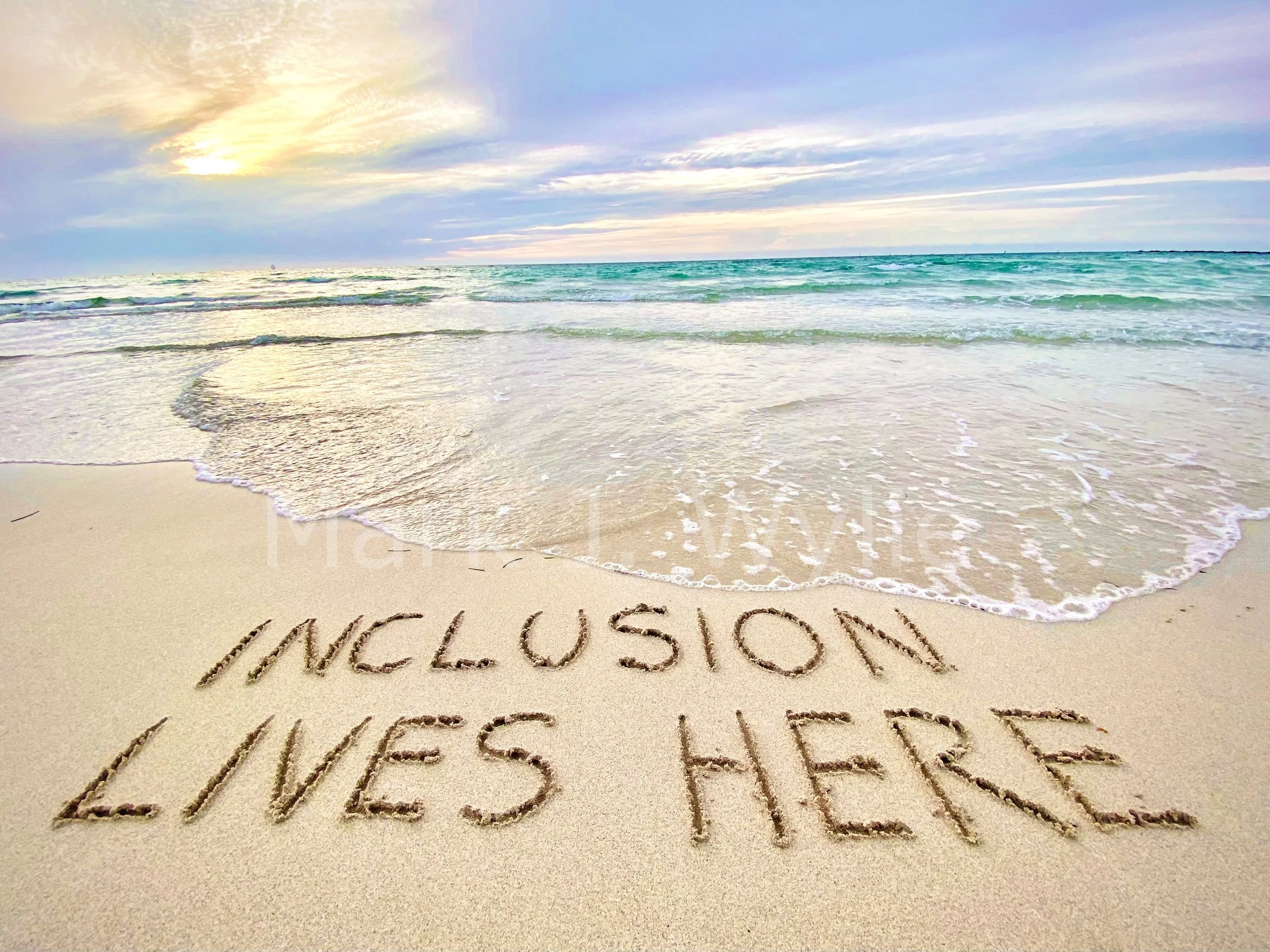 2Inclusion Lives Here.jpg