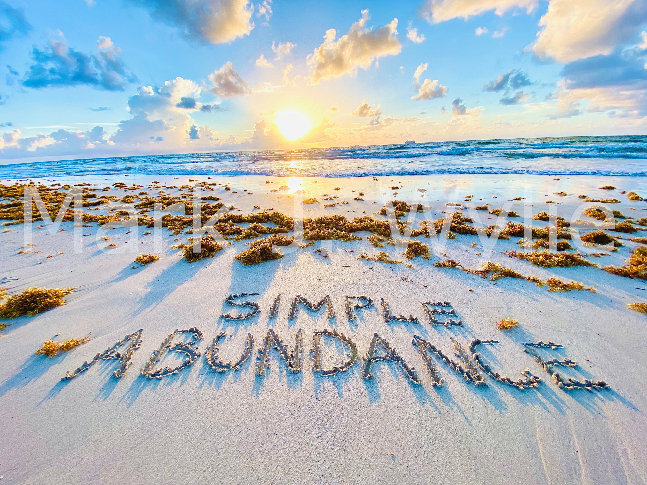 Simple Abundance WMM.jpg