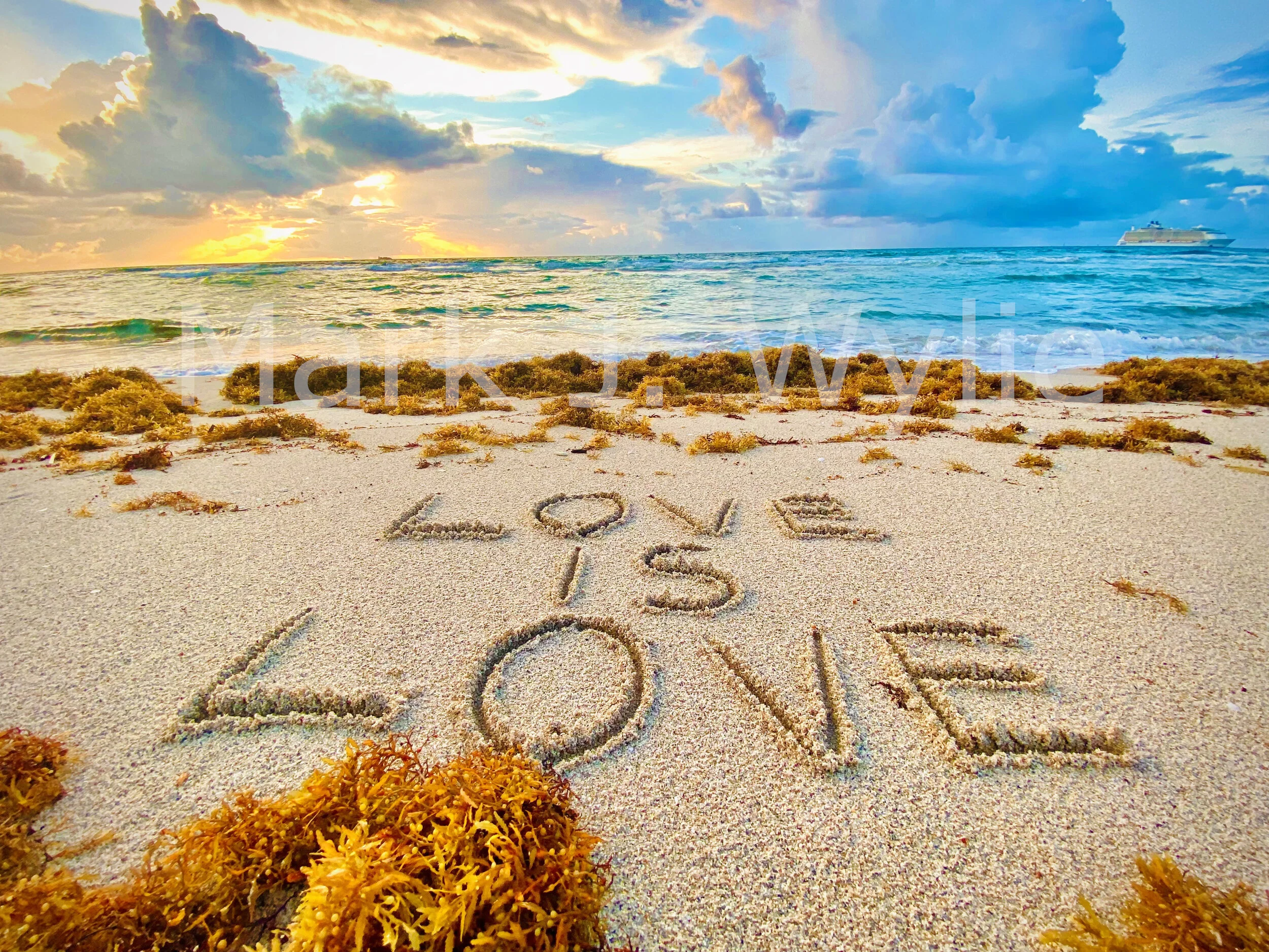 Love Is Love WMM.jpg