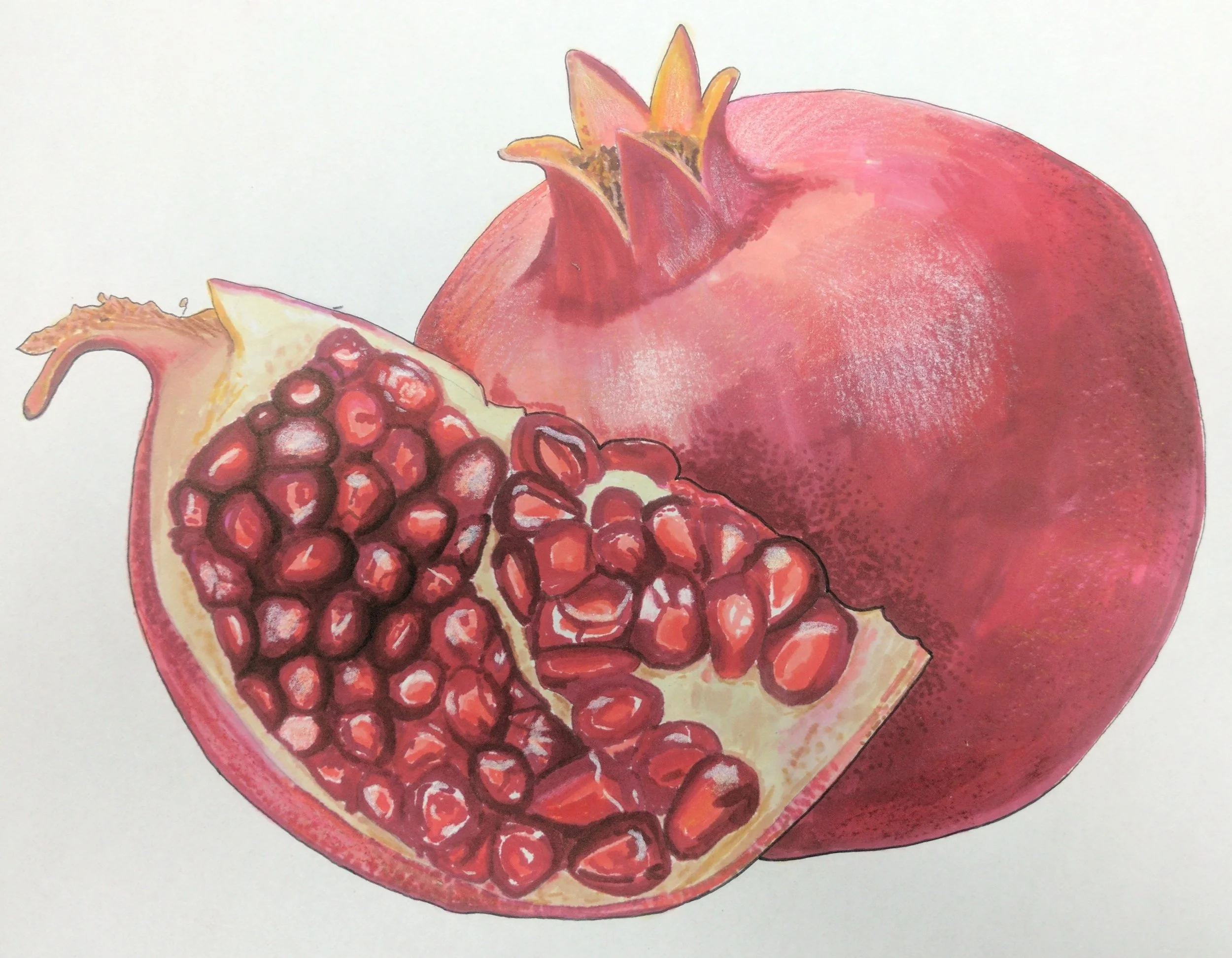 Pomegranate - Marker Rendering.jpg