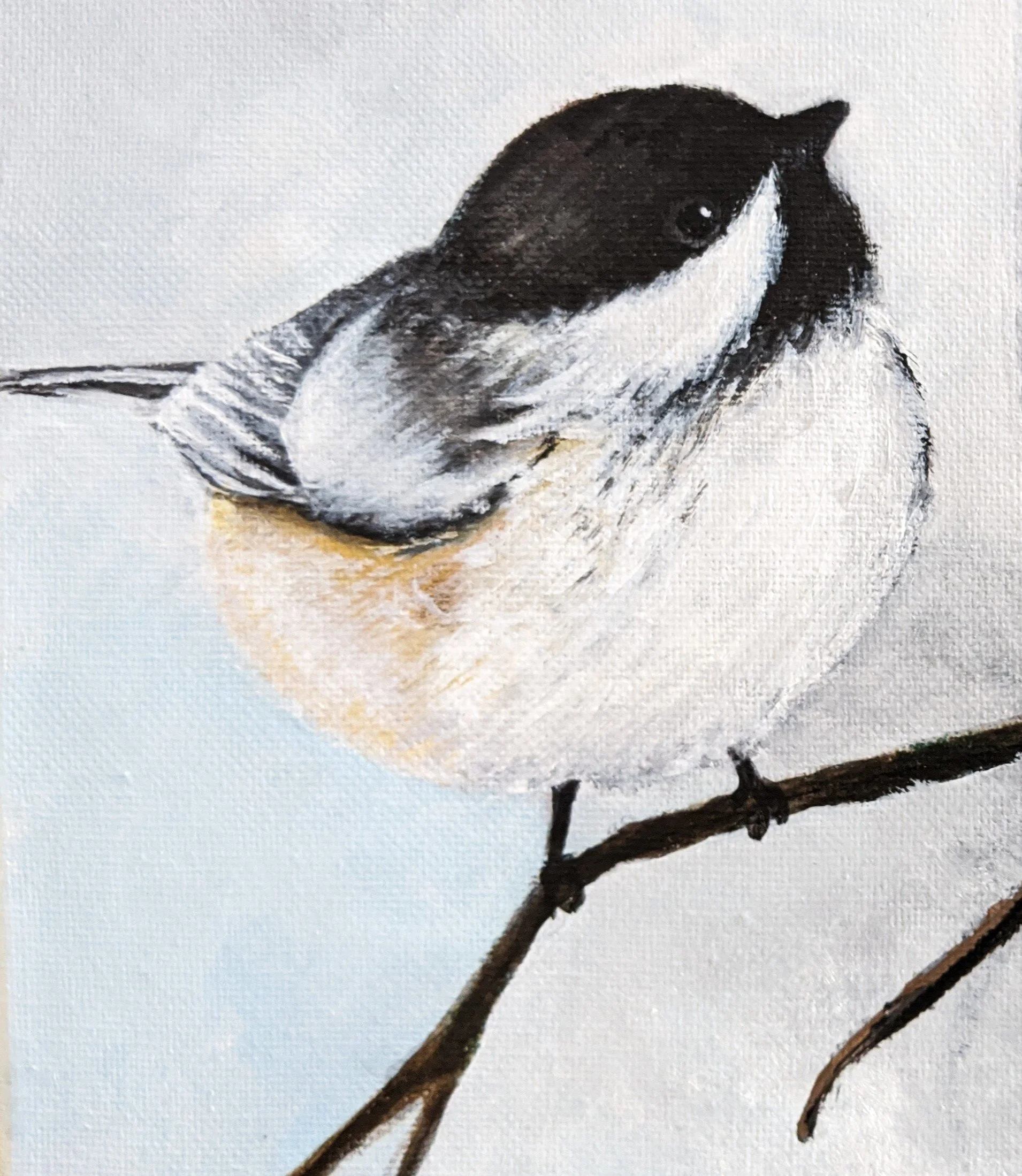 Chickadee - Acrylic.jpg