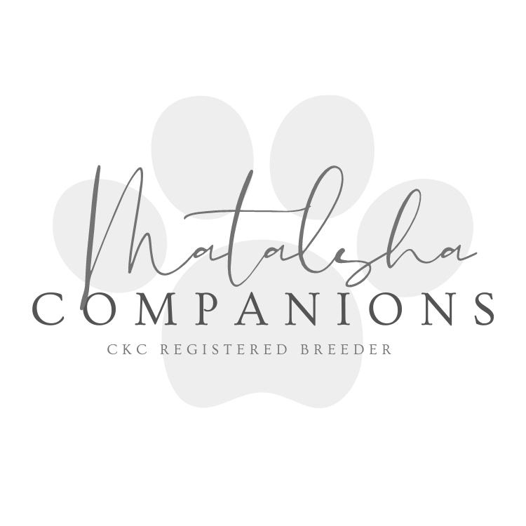 Matalsha Companions