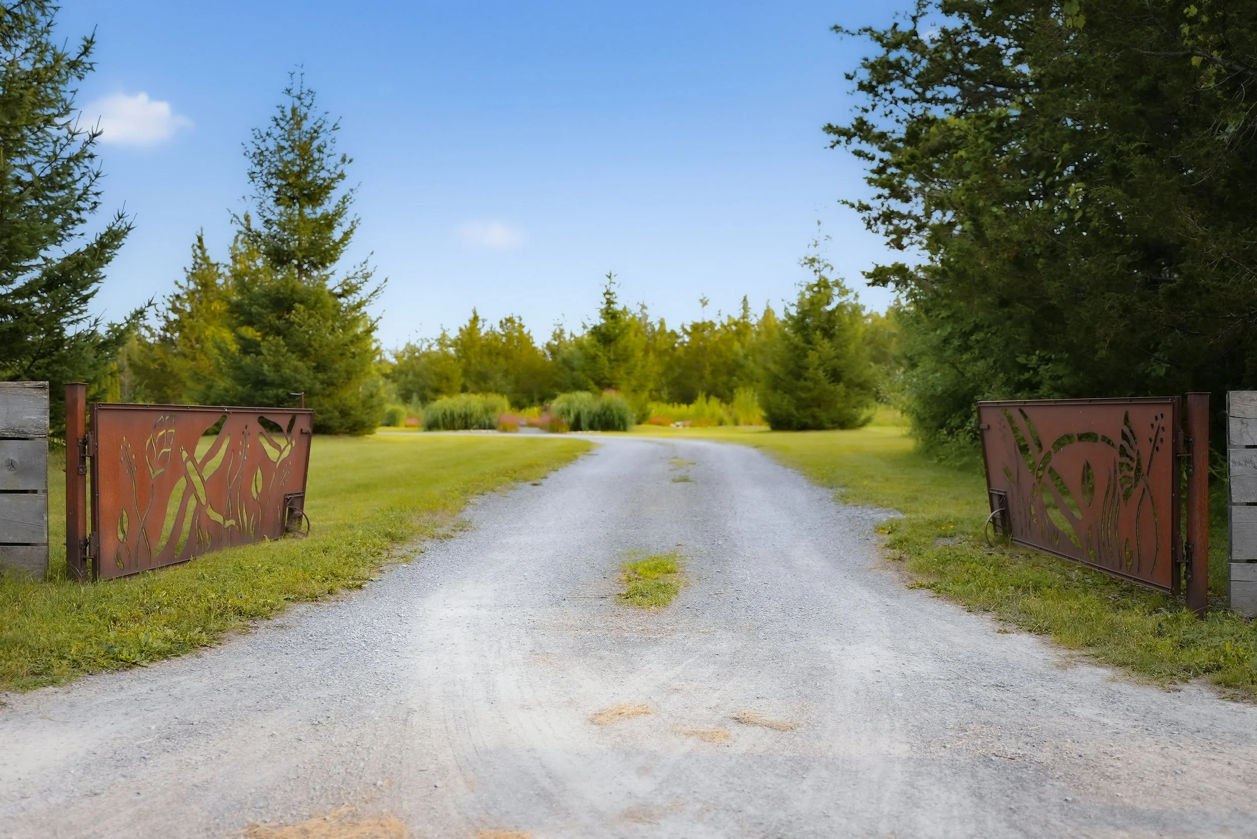 IMG-001.jpg