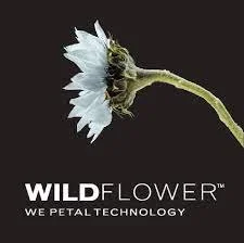 wildflower.jfif
