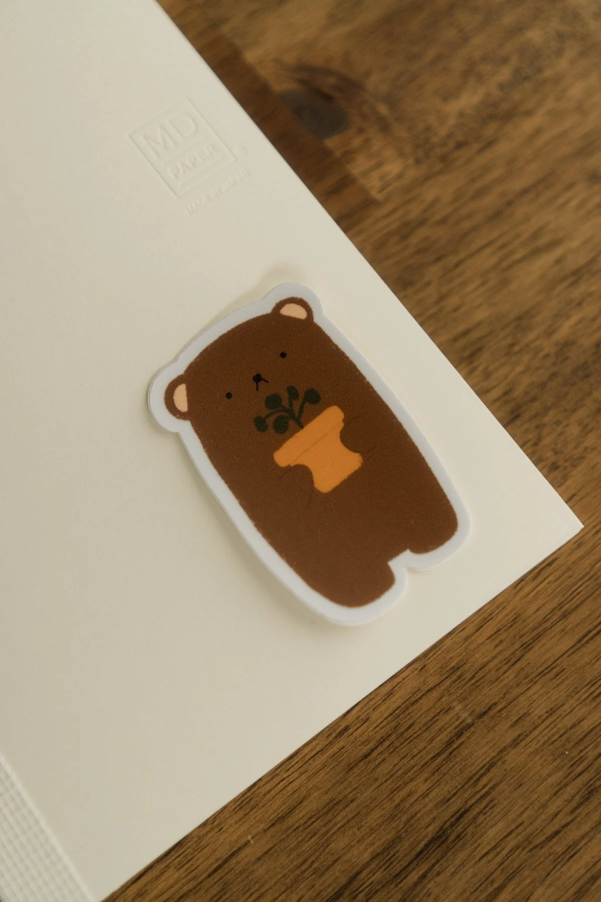 DSC09524 - Herbie's First Plant.jpg