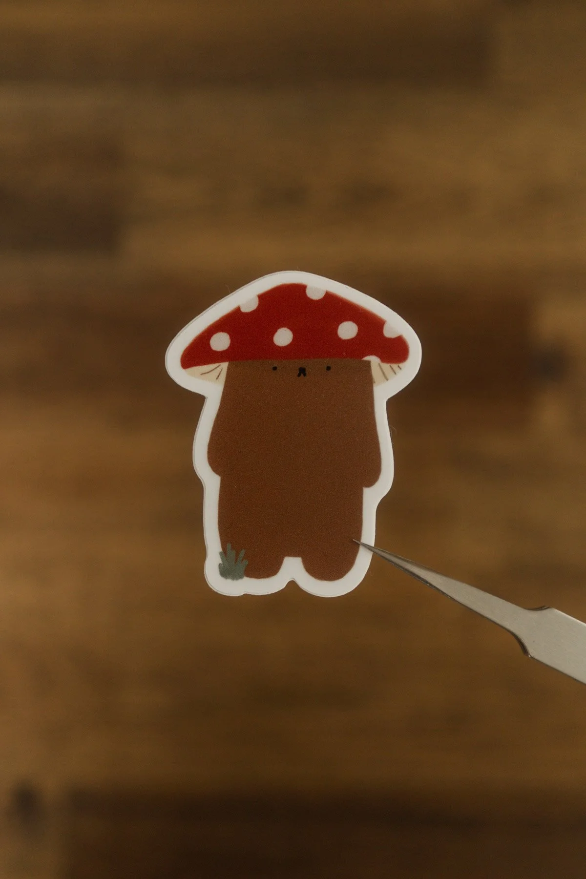 DSC09532 - Herbie Mushroom.jpg