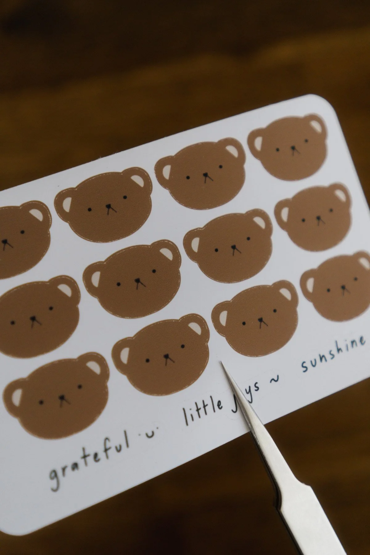 DSC09551 - Herbie Faces.jpg