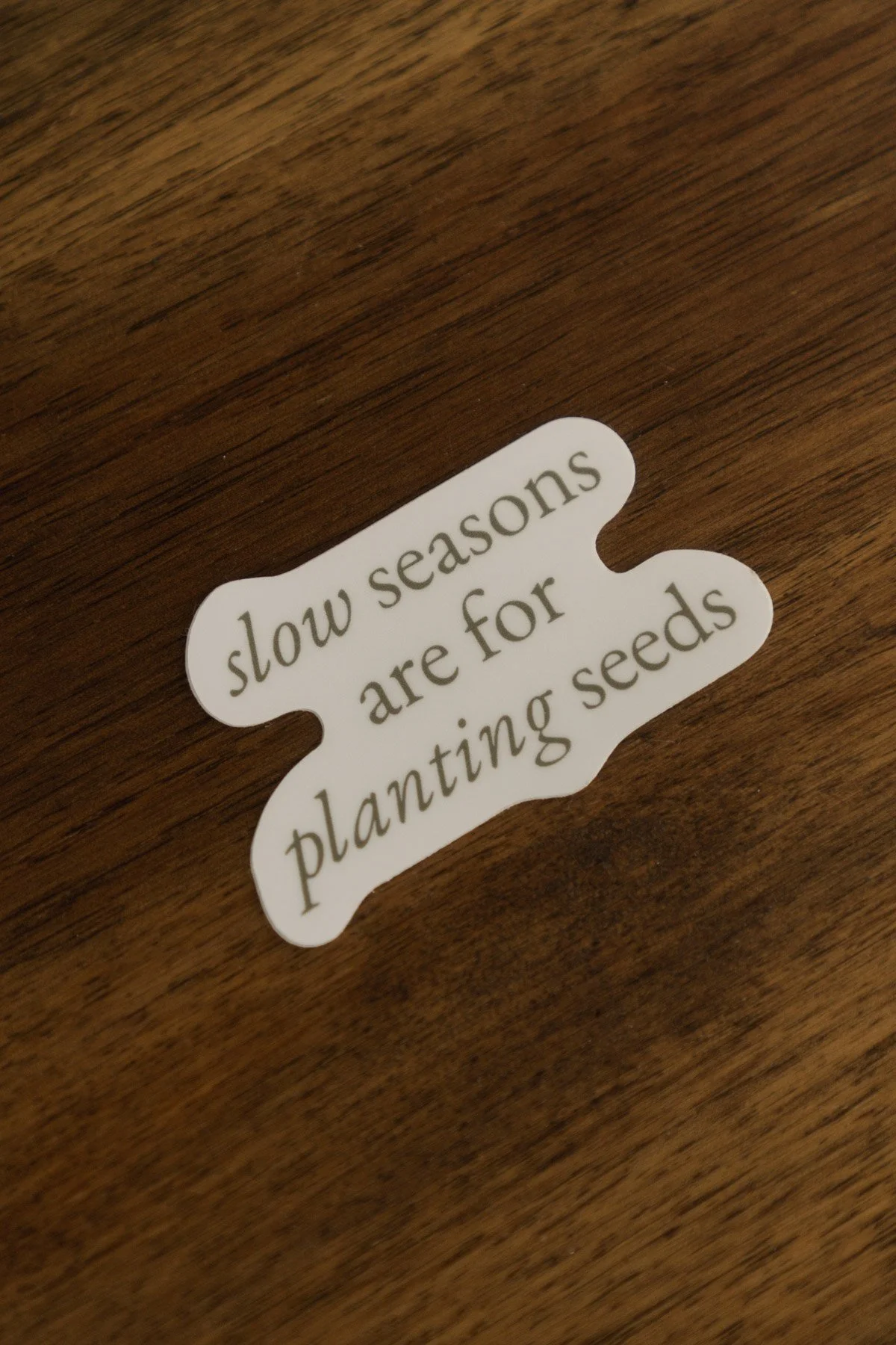 DSC09536 - Slow Seasons.jpg