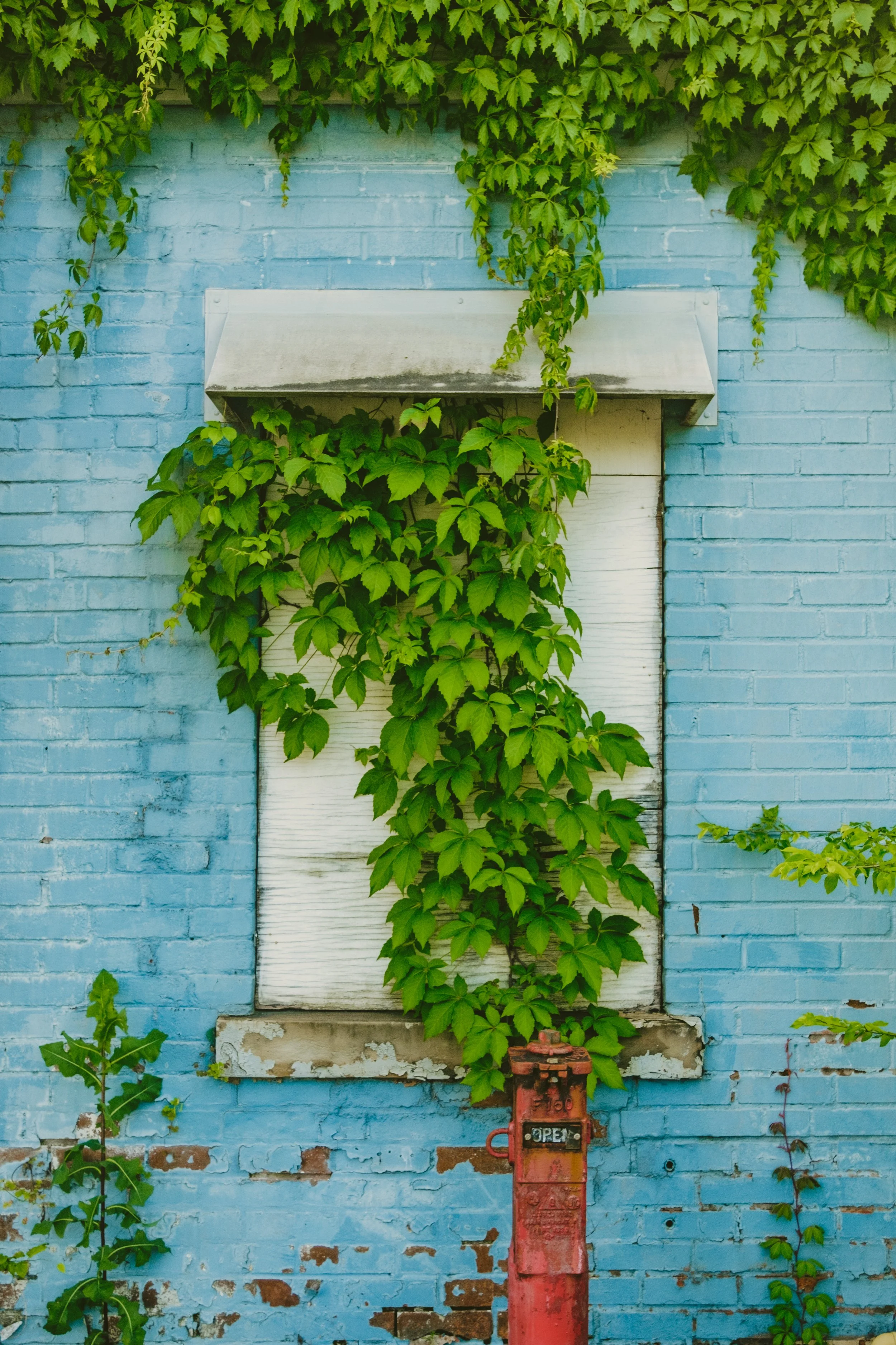 velvia_push_simulation-0994.jpg