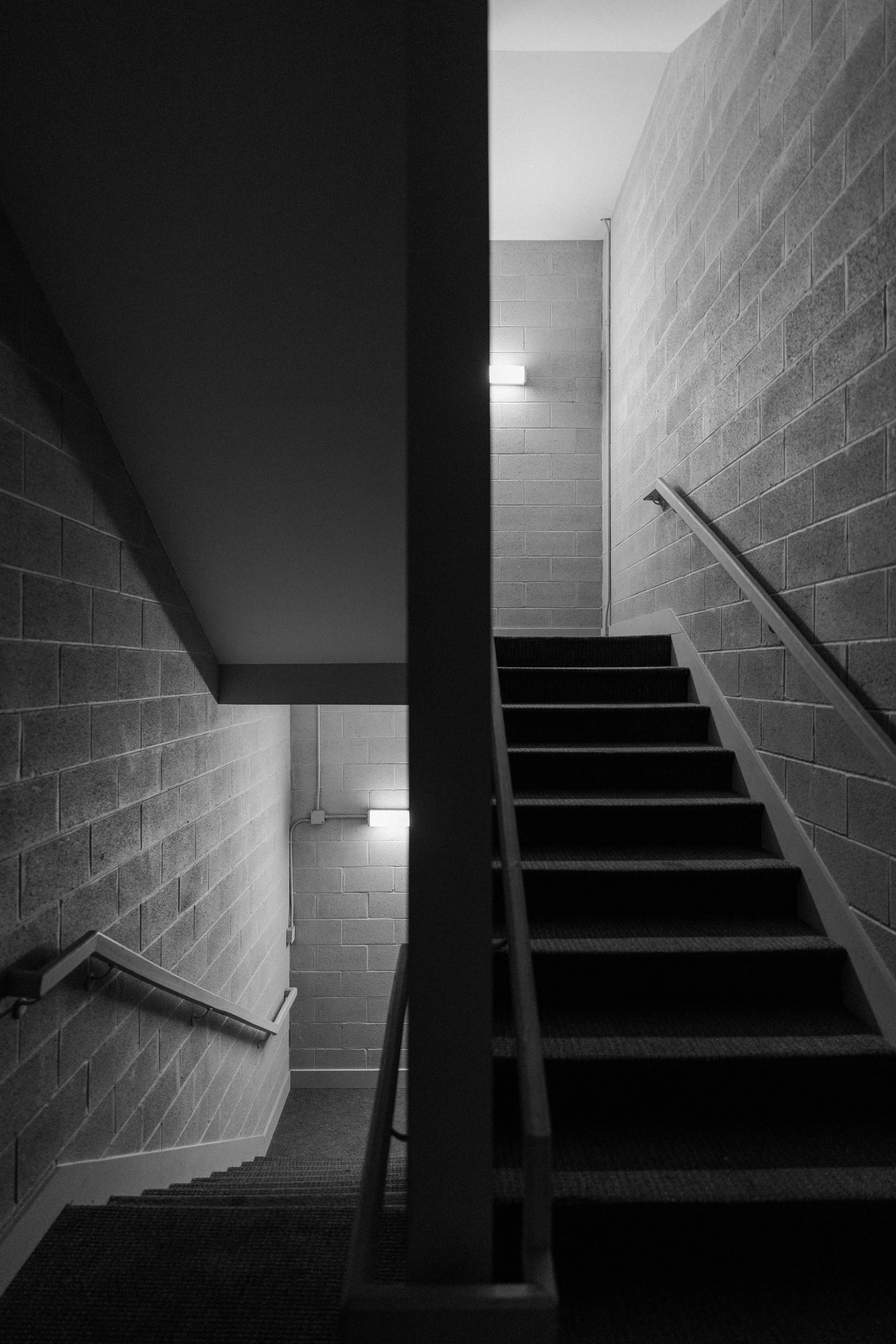 DSC03514.jpg