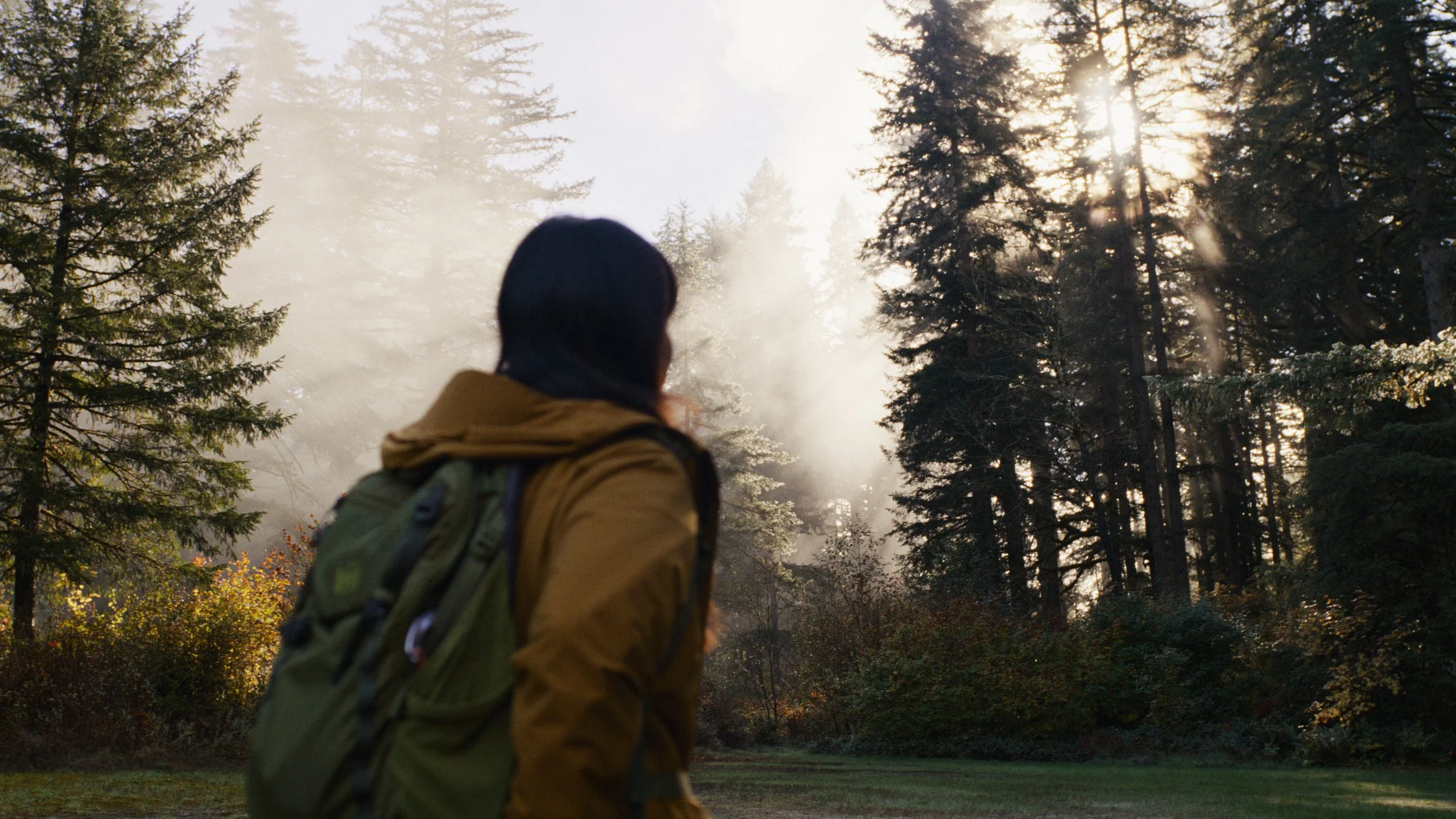 Travel editorial frame grab, woman in yellow parka and green backpack out of focus in foreground as she looks onto a tree lined grassy clearing, sun spills in through the trees, the light rays diffused by fog