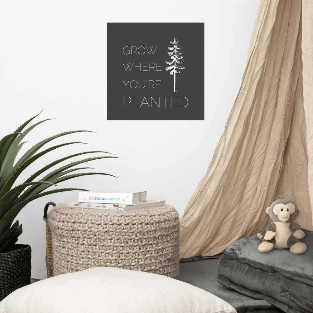 enhanced-matte-paper-poster-(in)-16x16-front-612c548075232.jpg