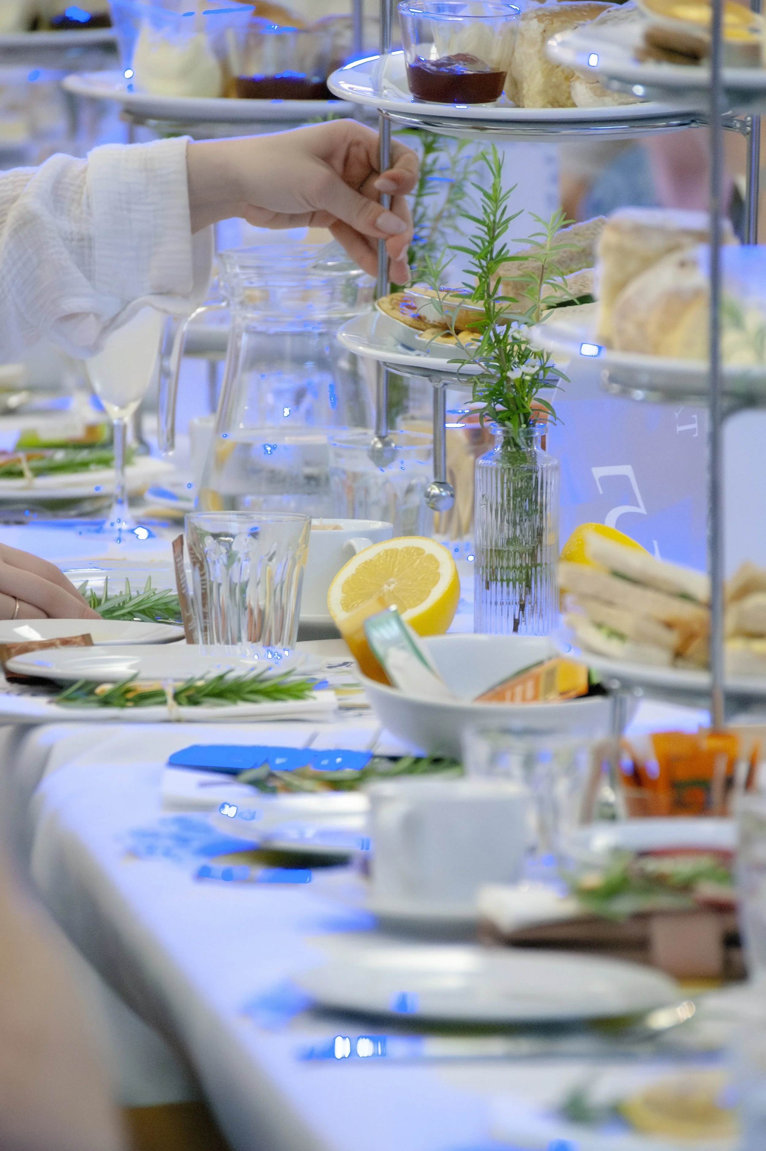 Final Edite-512.jpeg