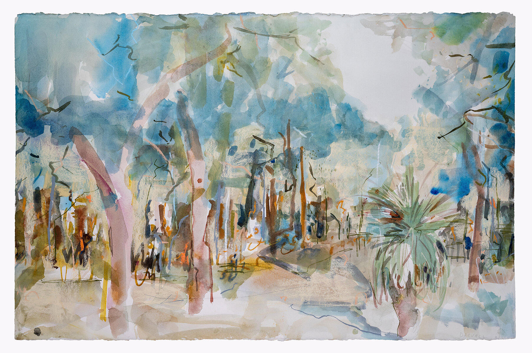   Wandoo Path,  2021  66 x 102 cm Watercolour and pastel on arches paper. Finalist York Botanic Art Prize 2021  (Private Collection) 