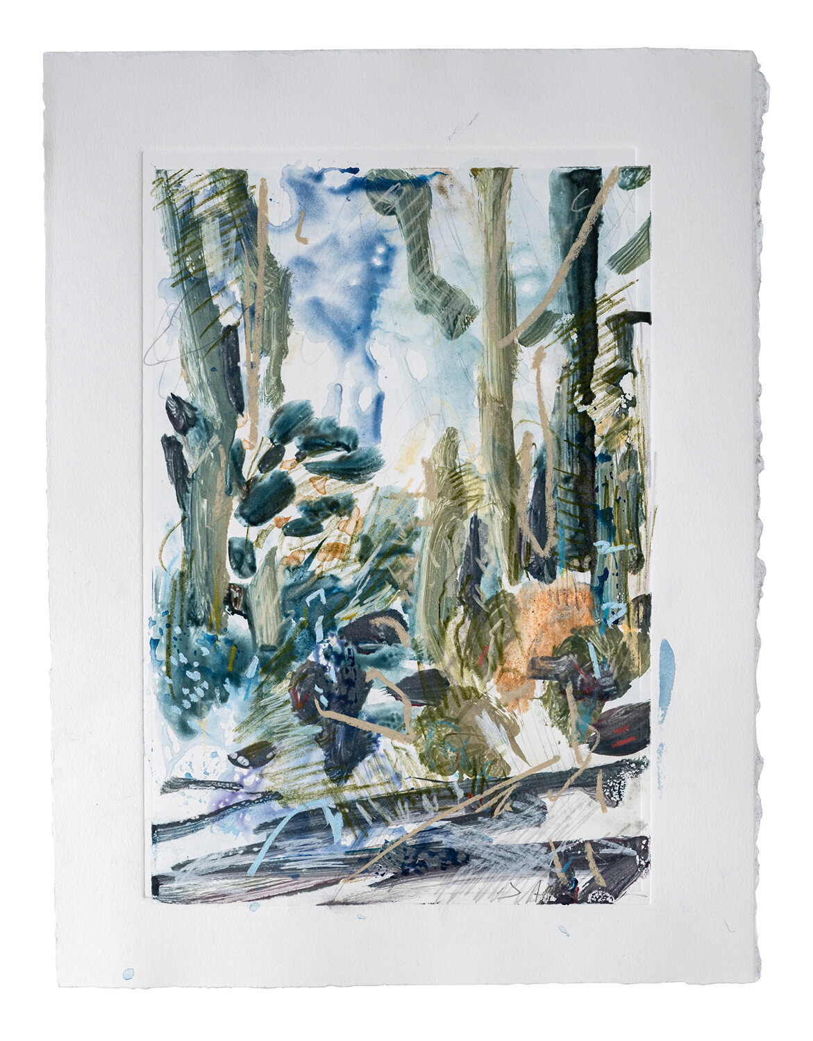   Boranup Forest No 5 , 2021  55 x 44 cm watercolour monoprint with pastel and pencil on paper  Collected 