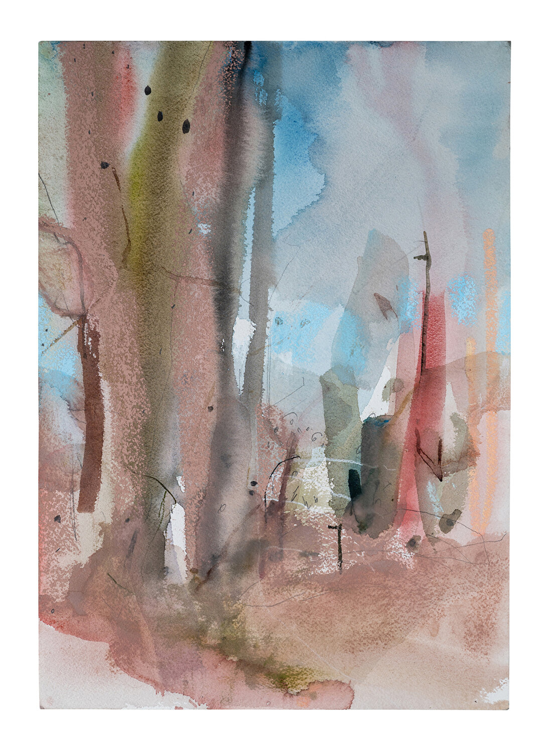   Boranup Forest No 7 , 2021, 69 x 53 cm,  watercolour with pastel and pencil on paper  Collected 
